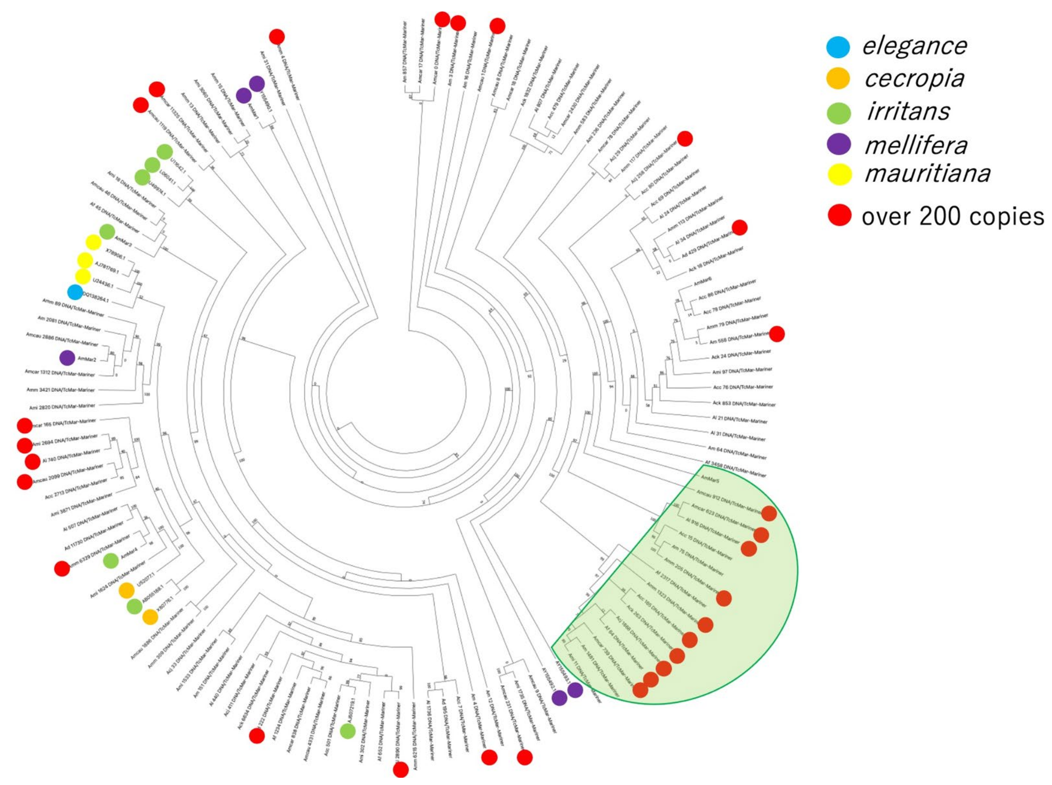 Insects 13 00698 g002