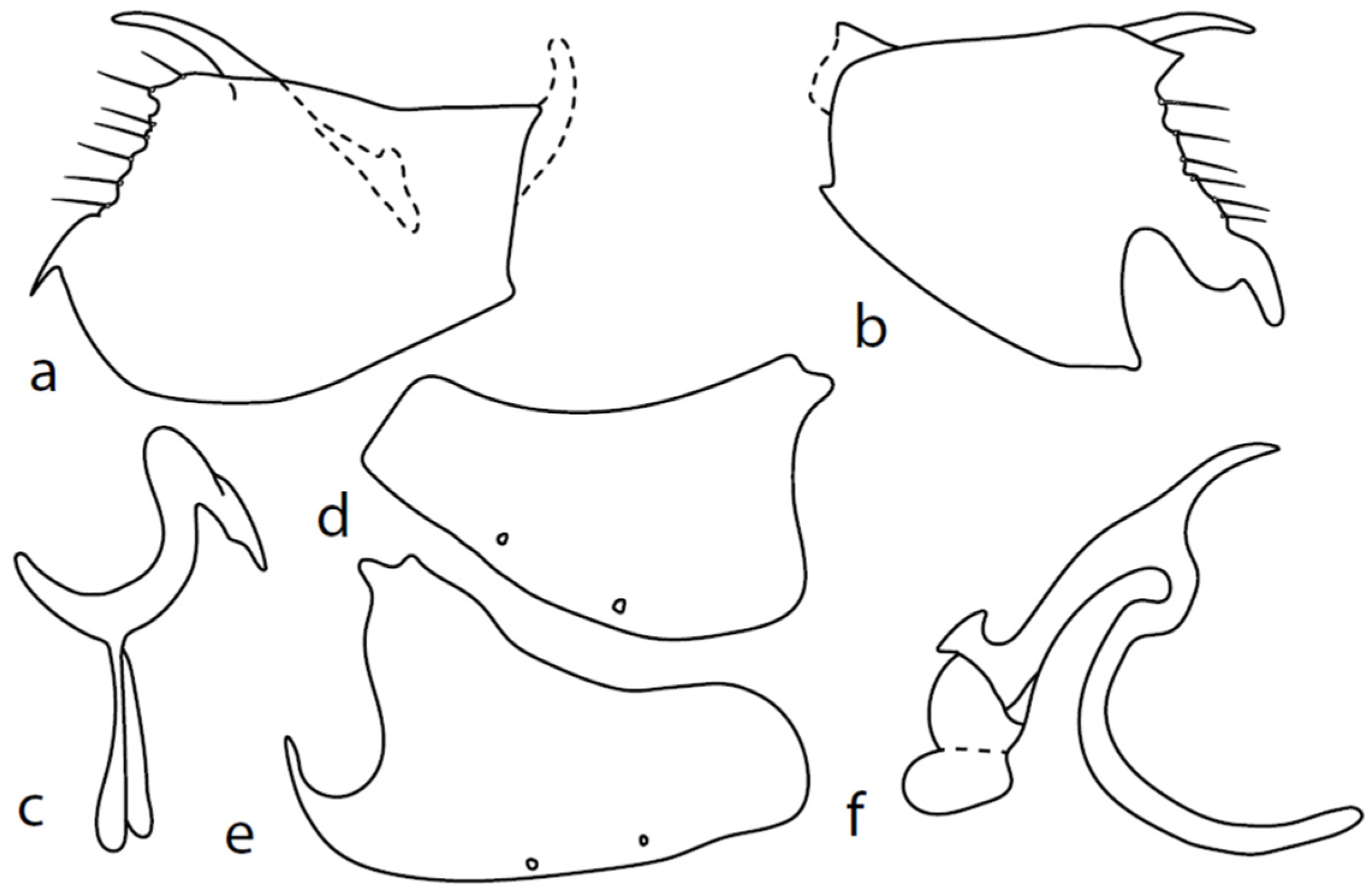 Insects 13 00700 g002
