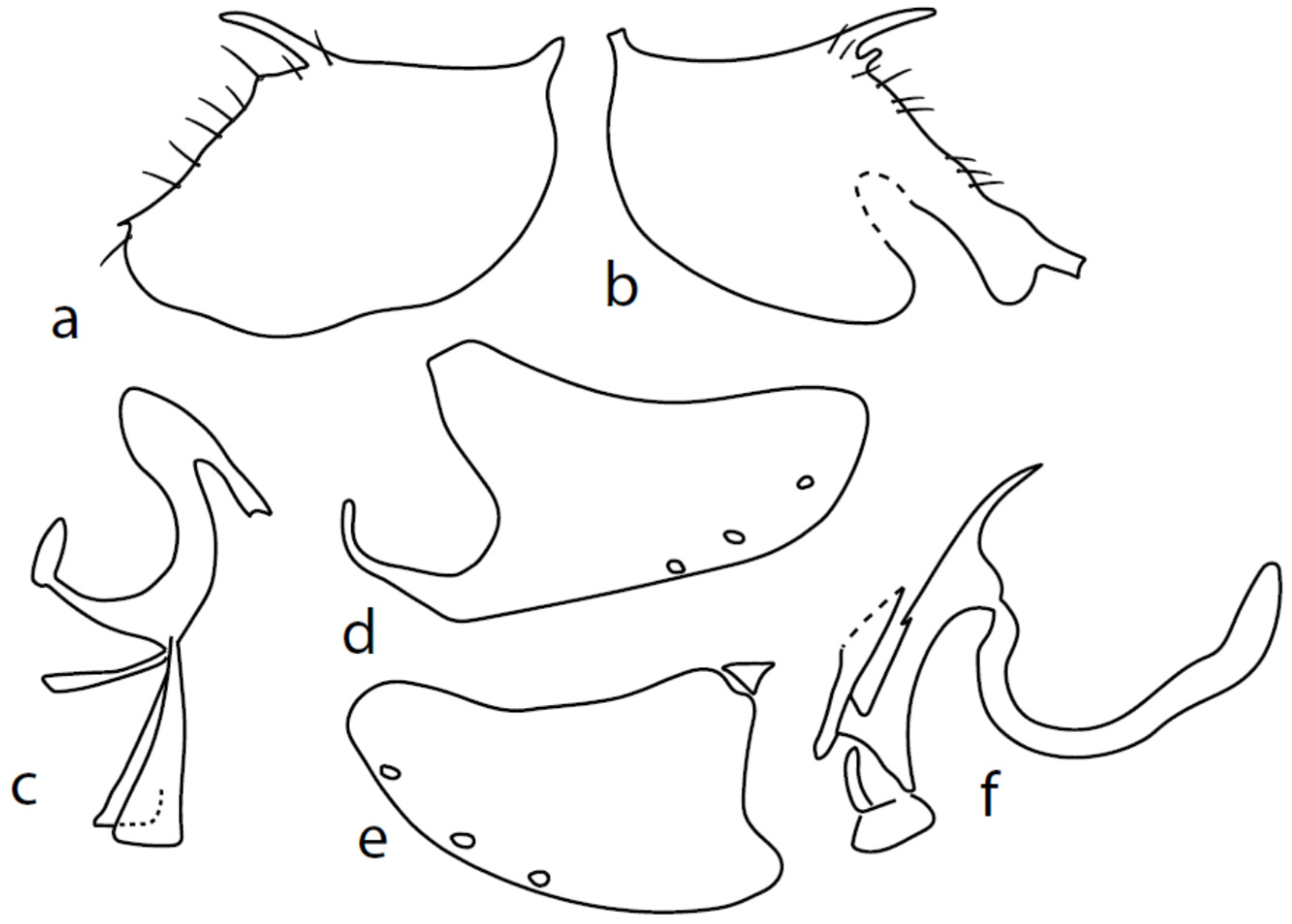 Insects 13 00700 g003