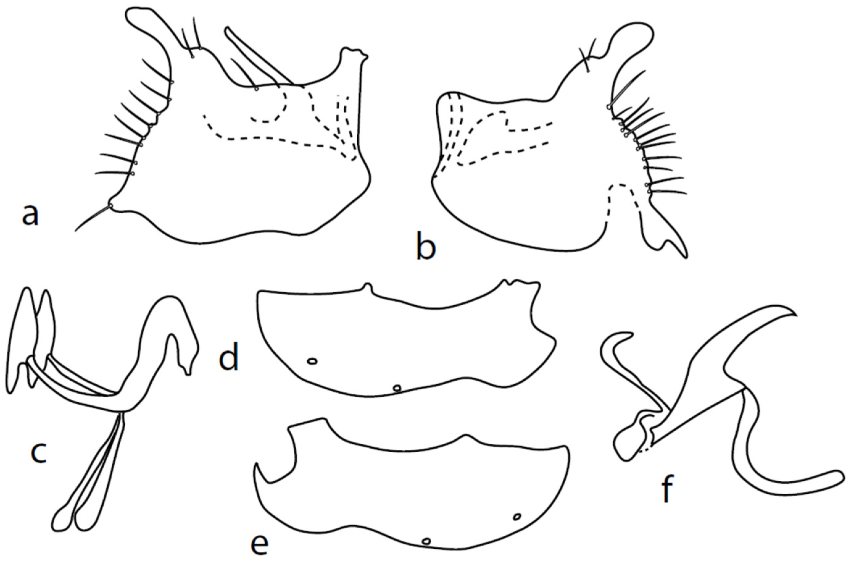 Insects 13 00700 g004