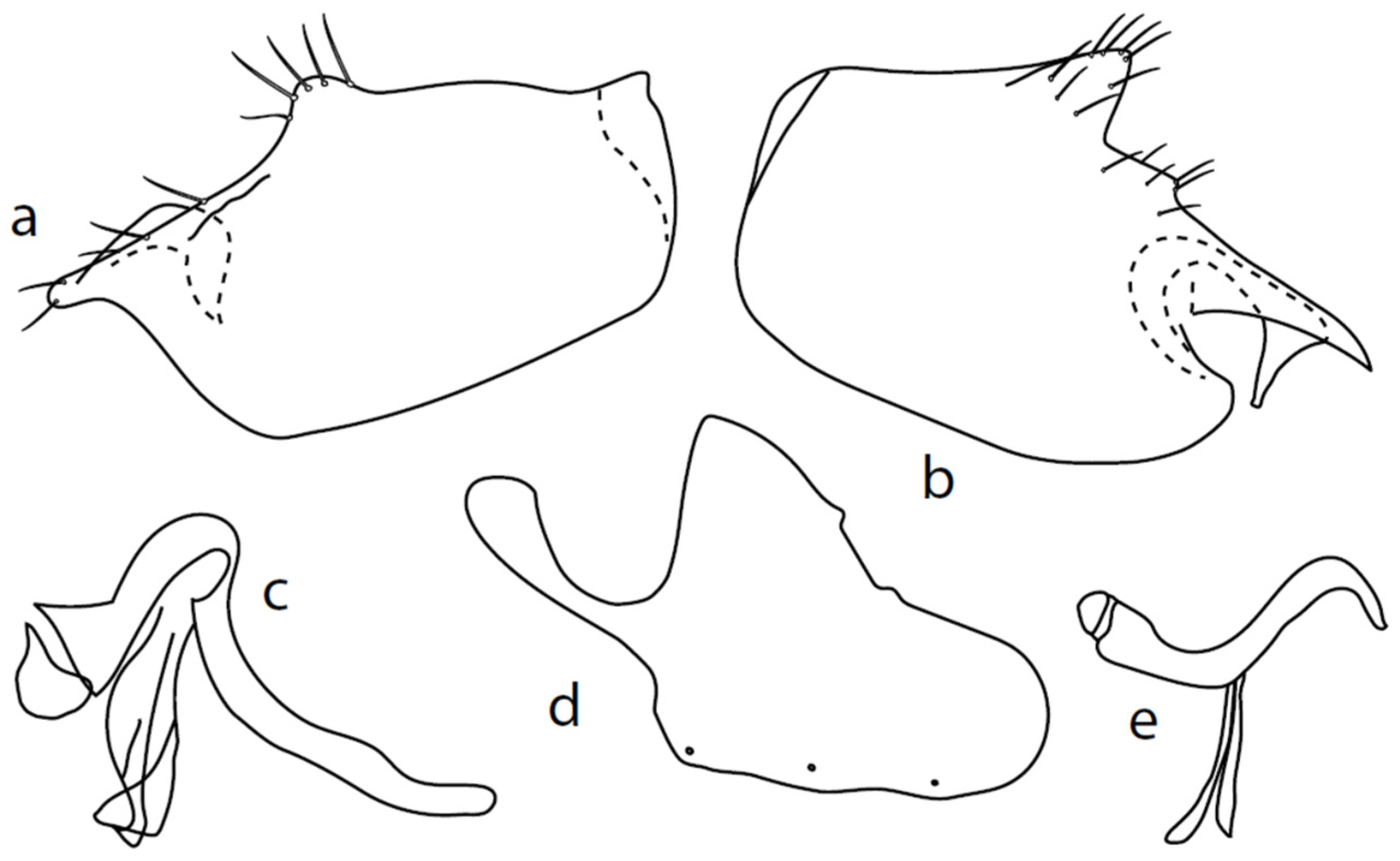Insects 13 00700 g005
