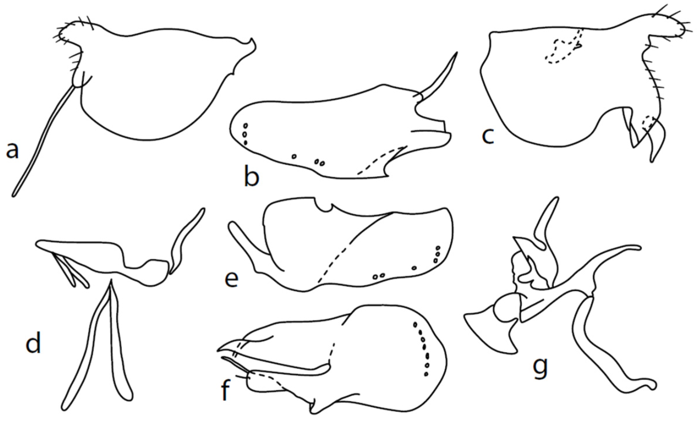 Insects 13 00700 g006