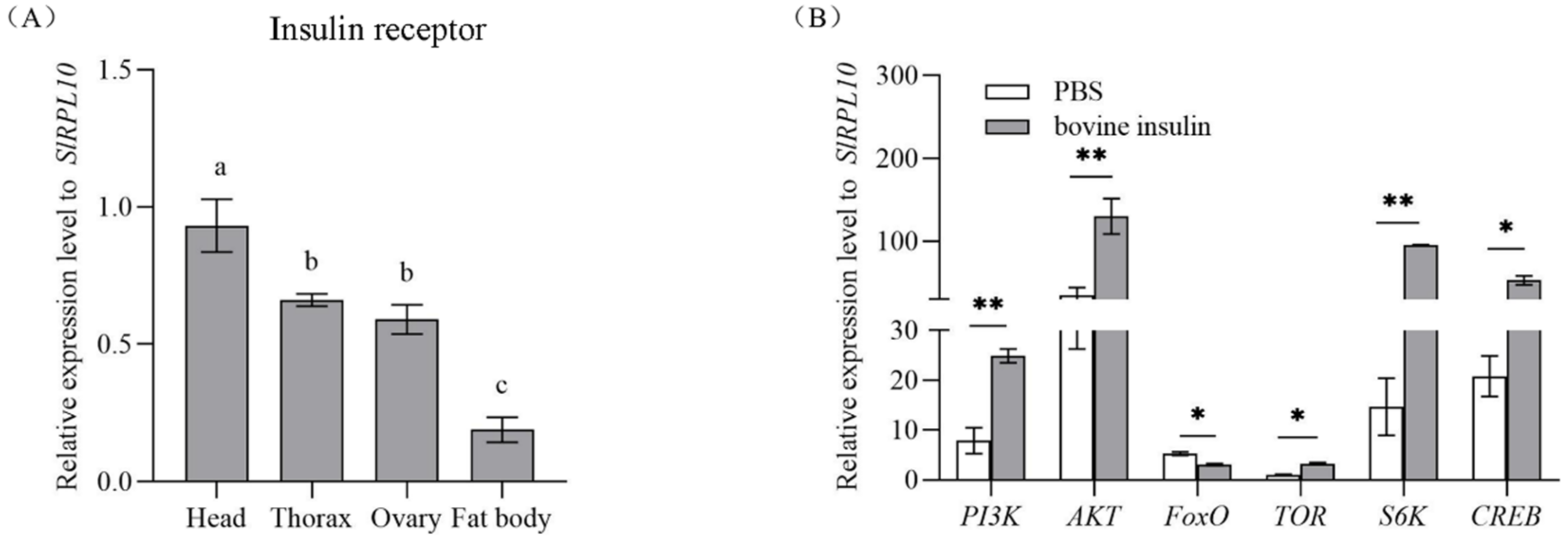 Insects 13 00701 g001