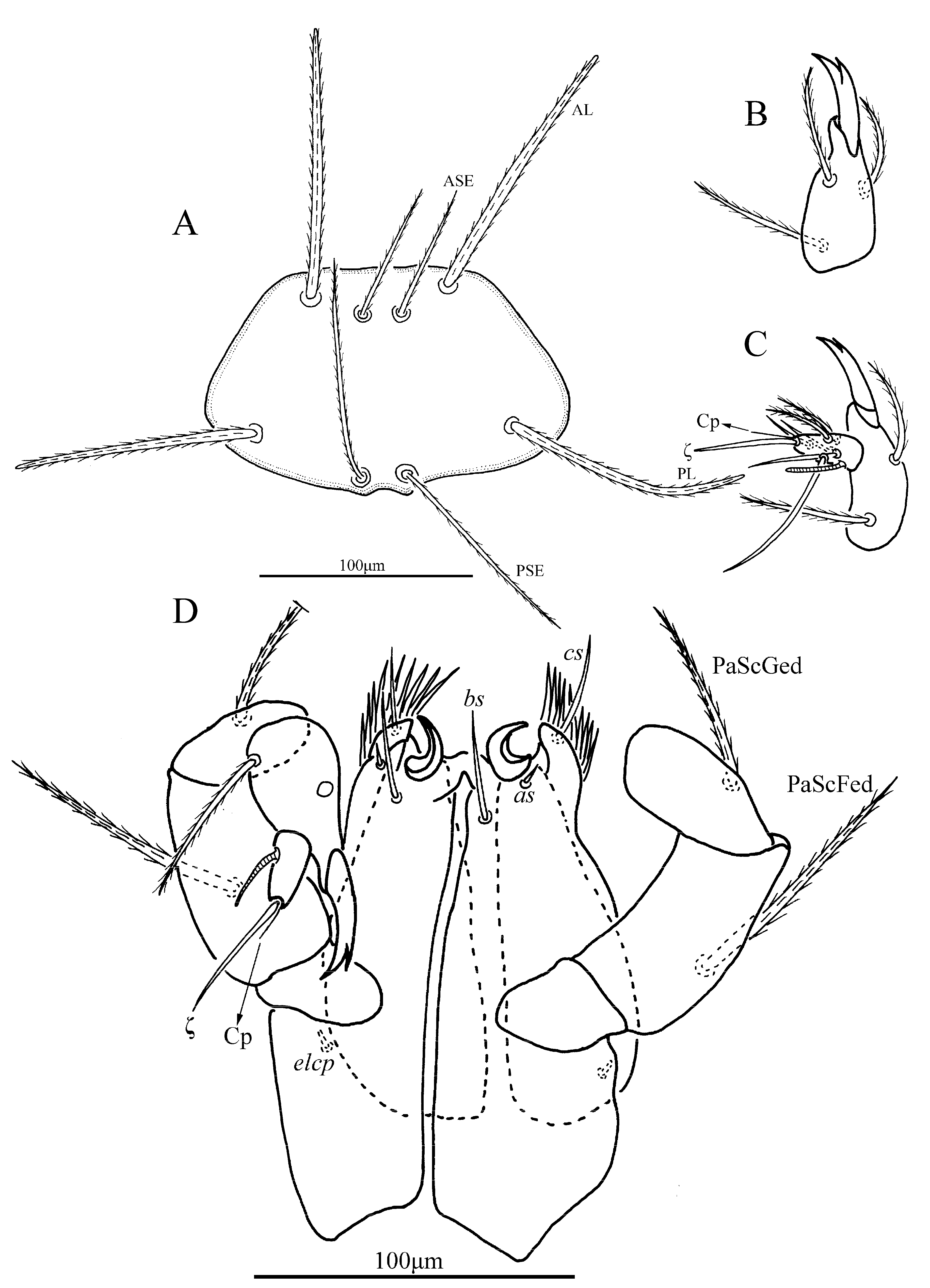 Insects 13 00706 g002