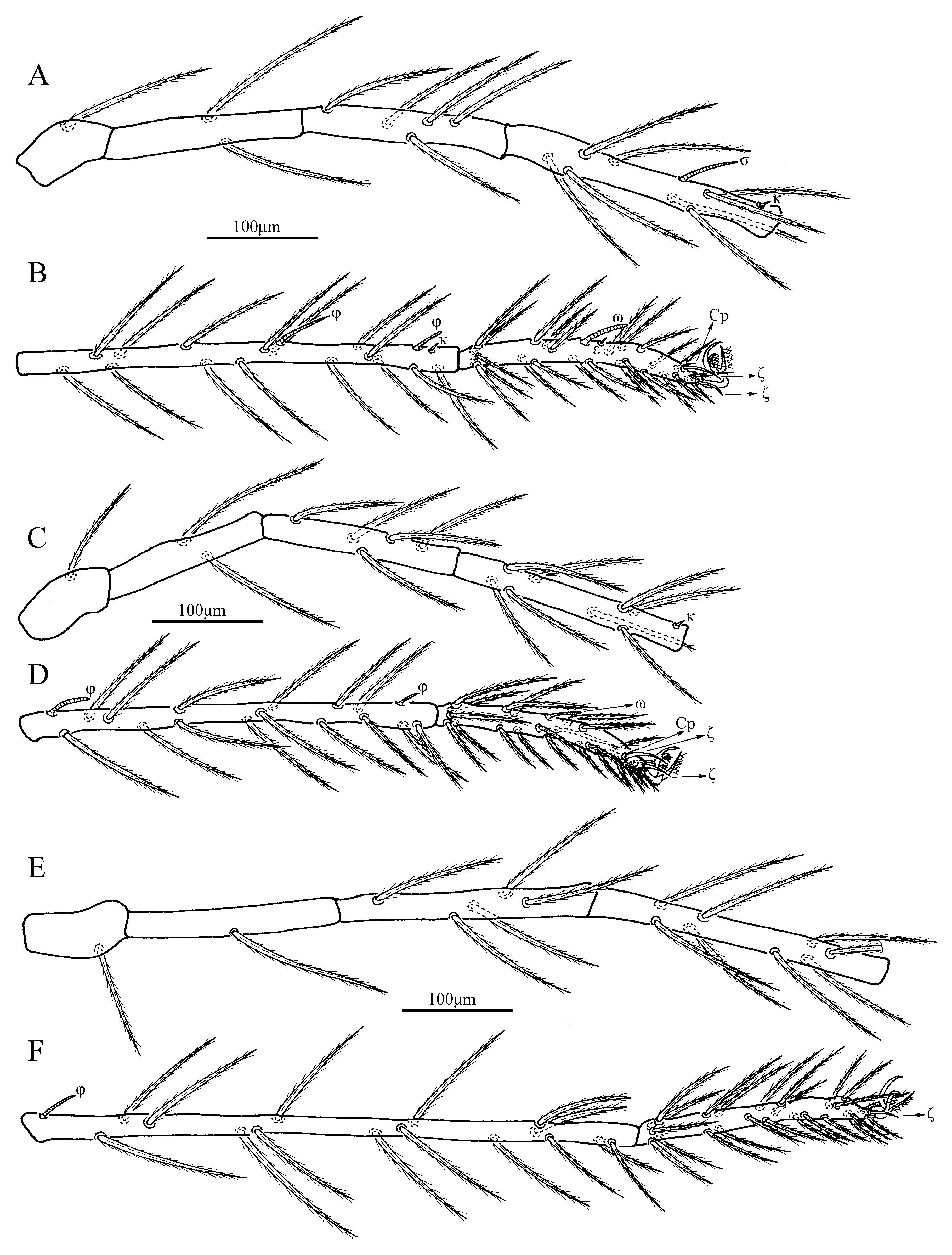 Insects 13 00706 g004