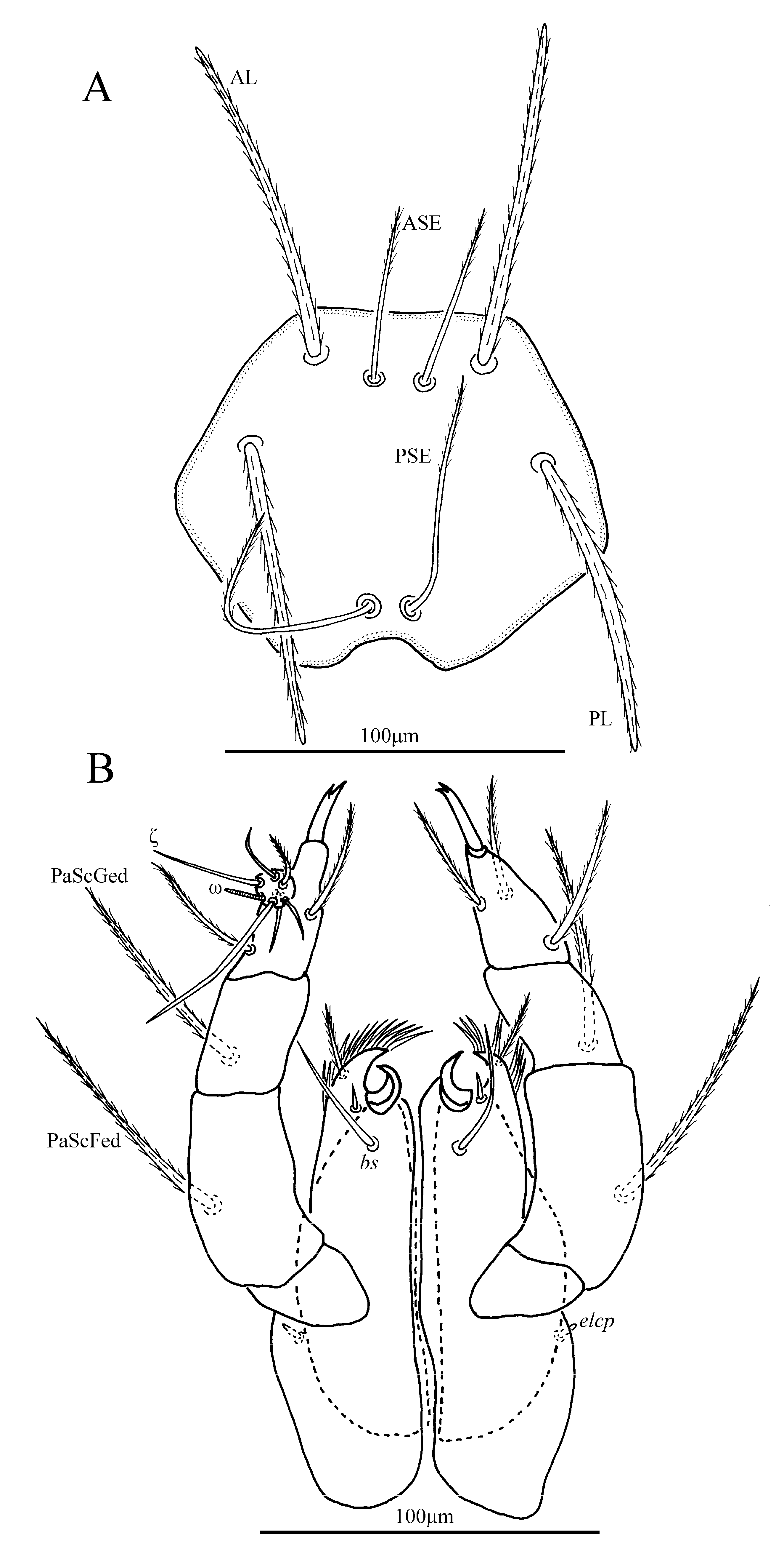 Insects 13 00706 g006