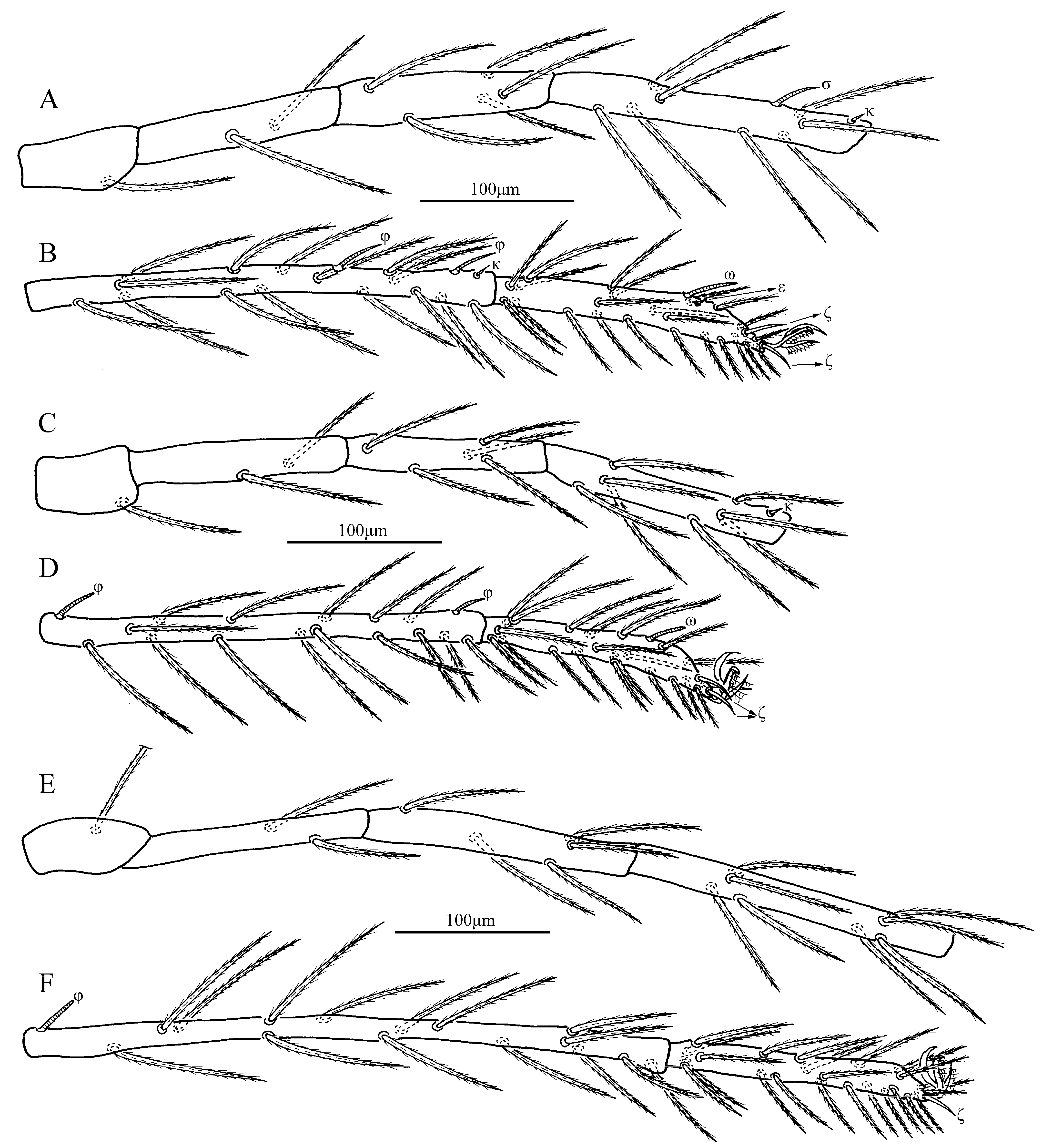 Insects 13 00706 g008