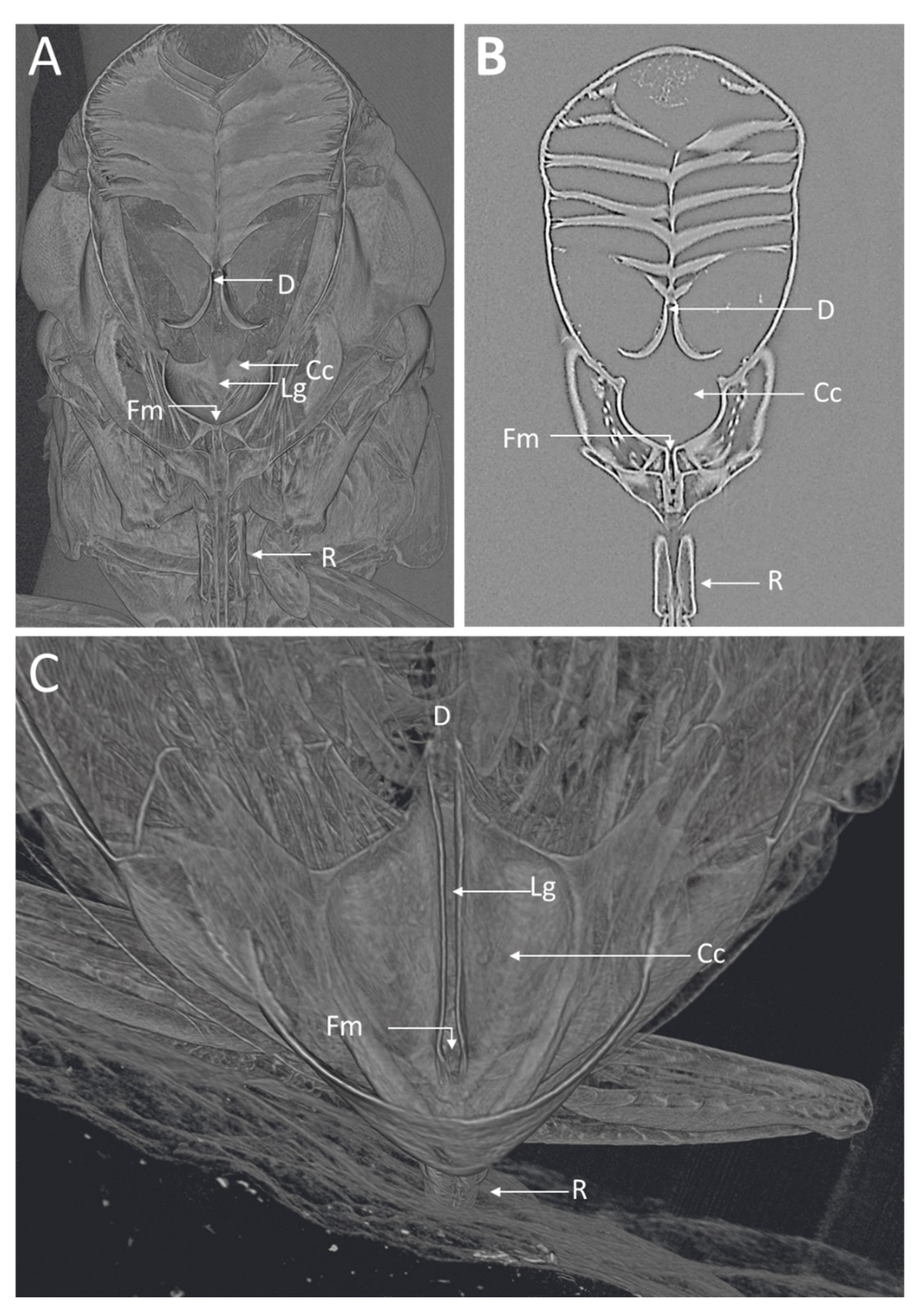 Insects 13 00710 g002