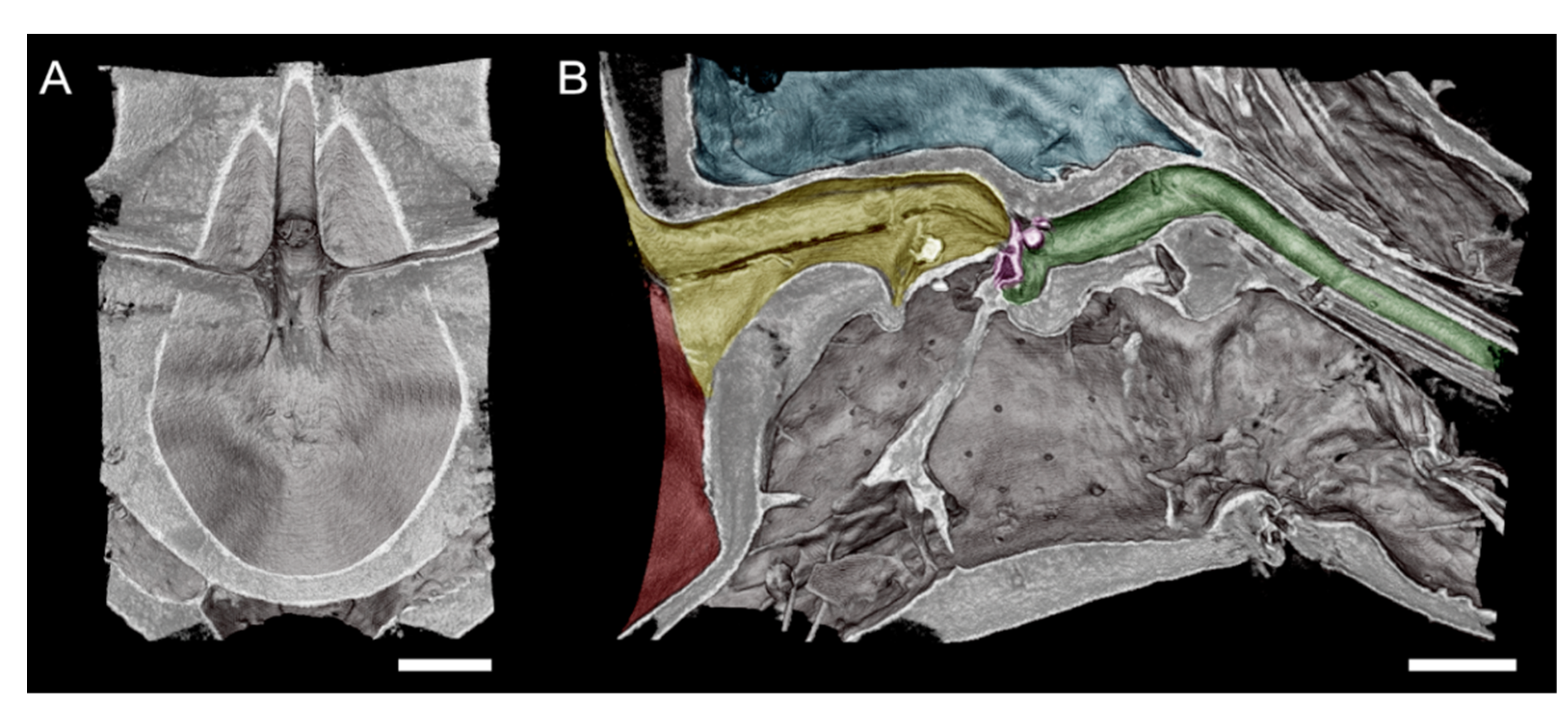 Insects 13 00710 g004