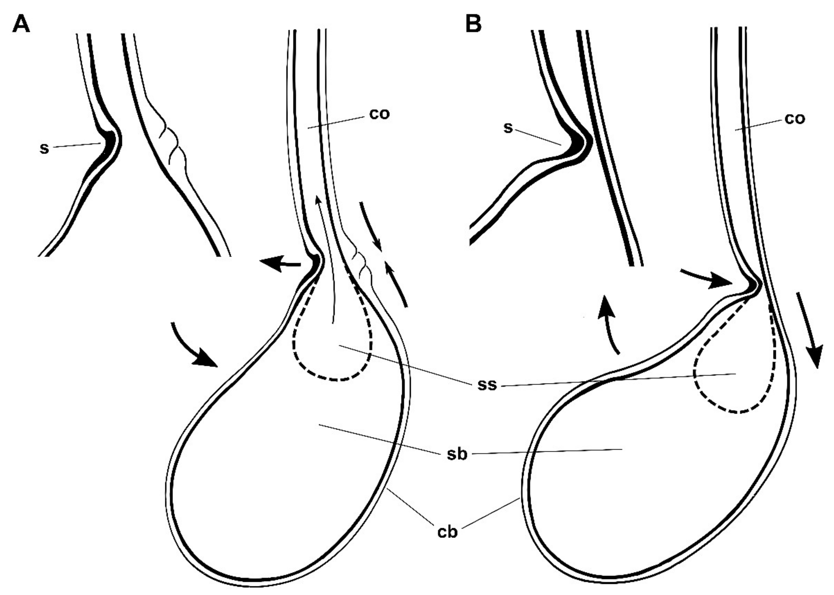Insects 13 00714 g005
