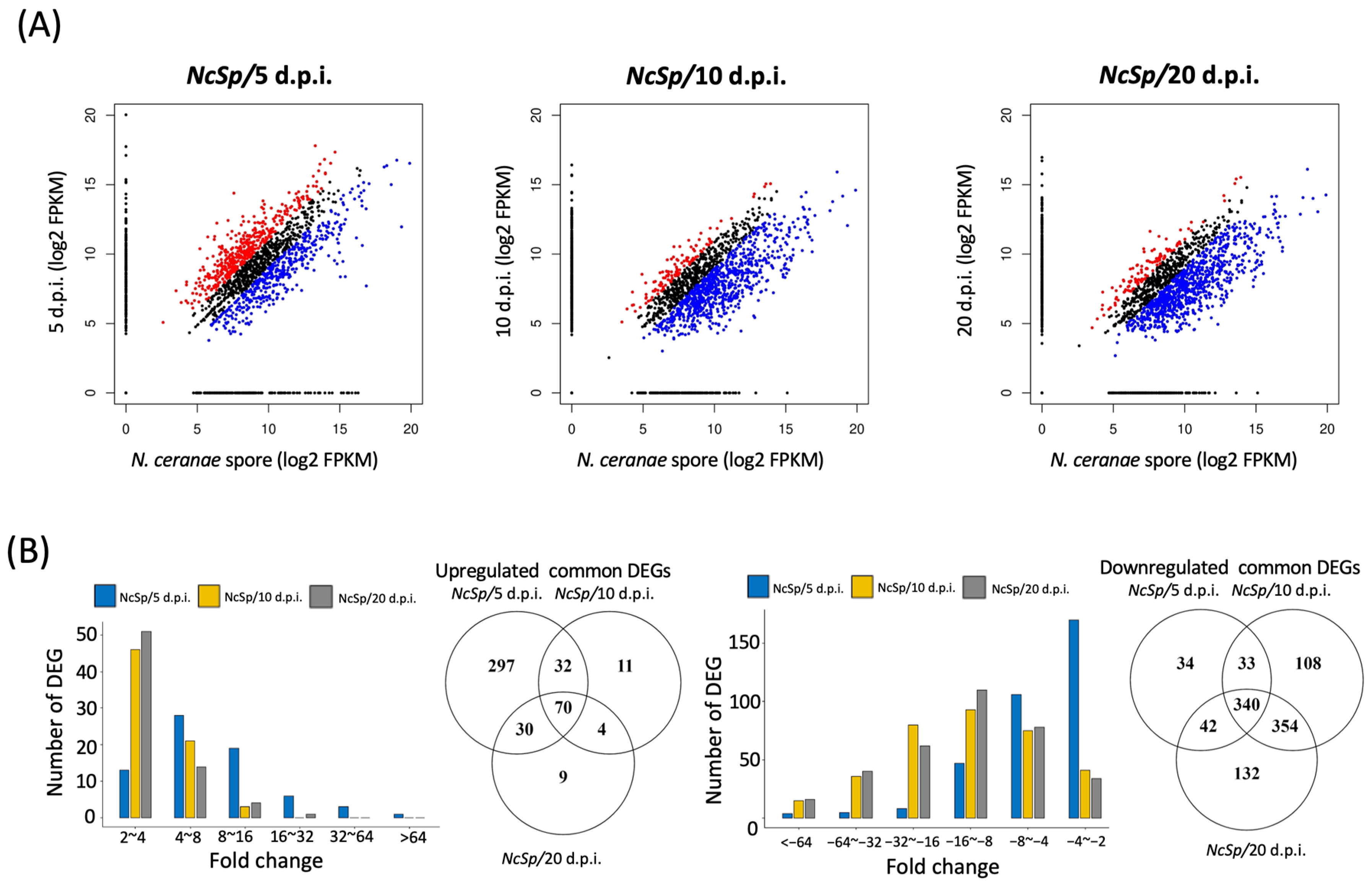 Insects 13 00716 g002