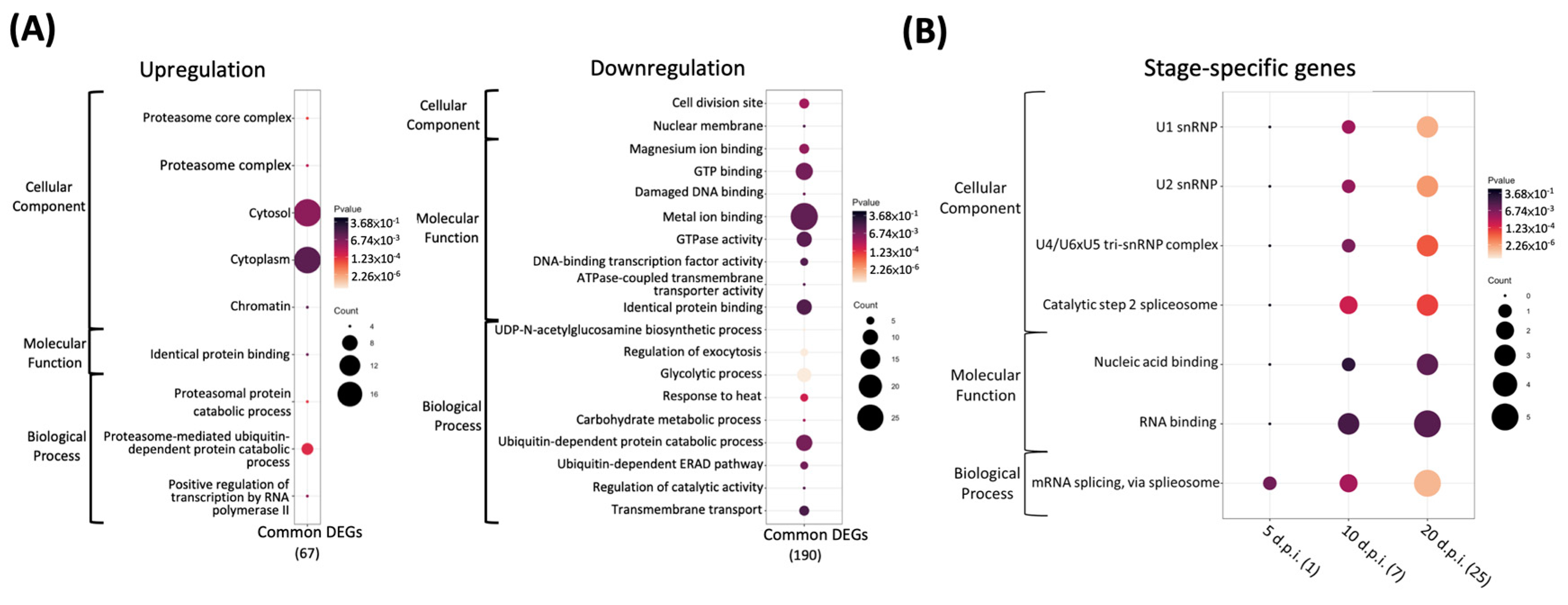 Insects 13 00716 g004
