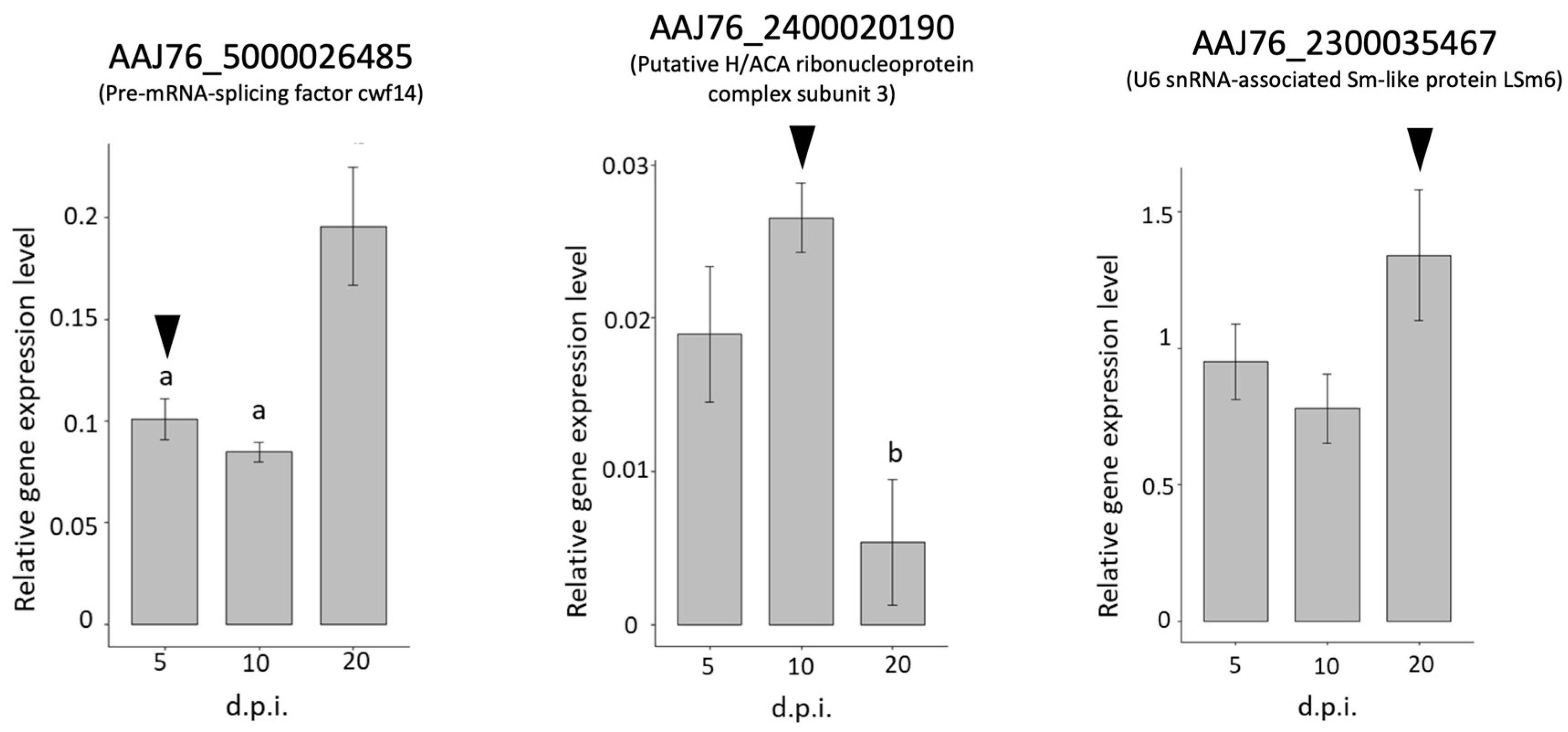 Insects 13 00716 g007