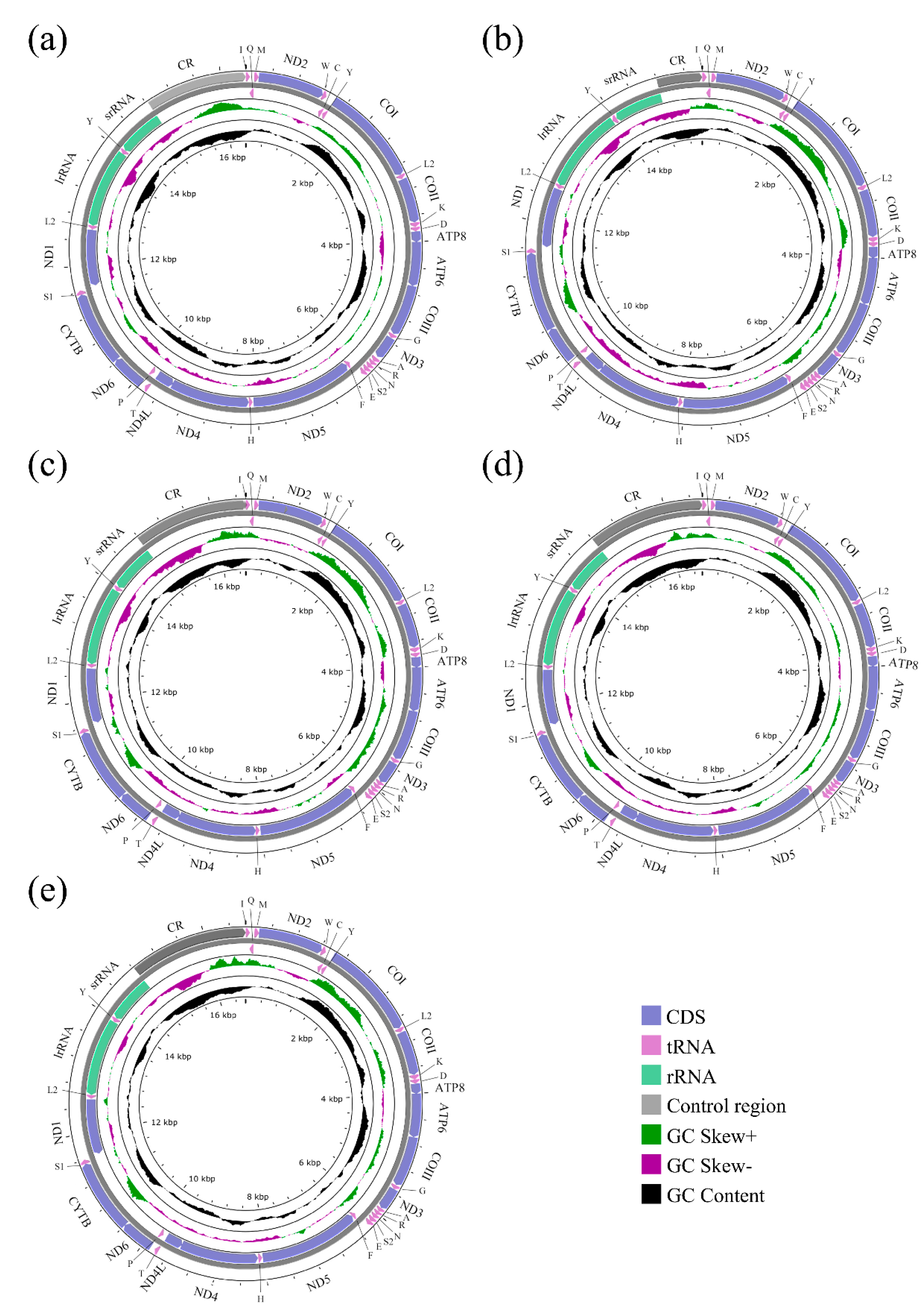 Insects 13 00718 g001