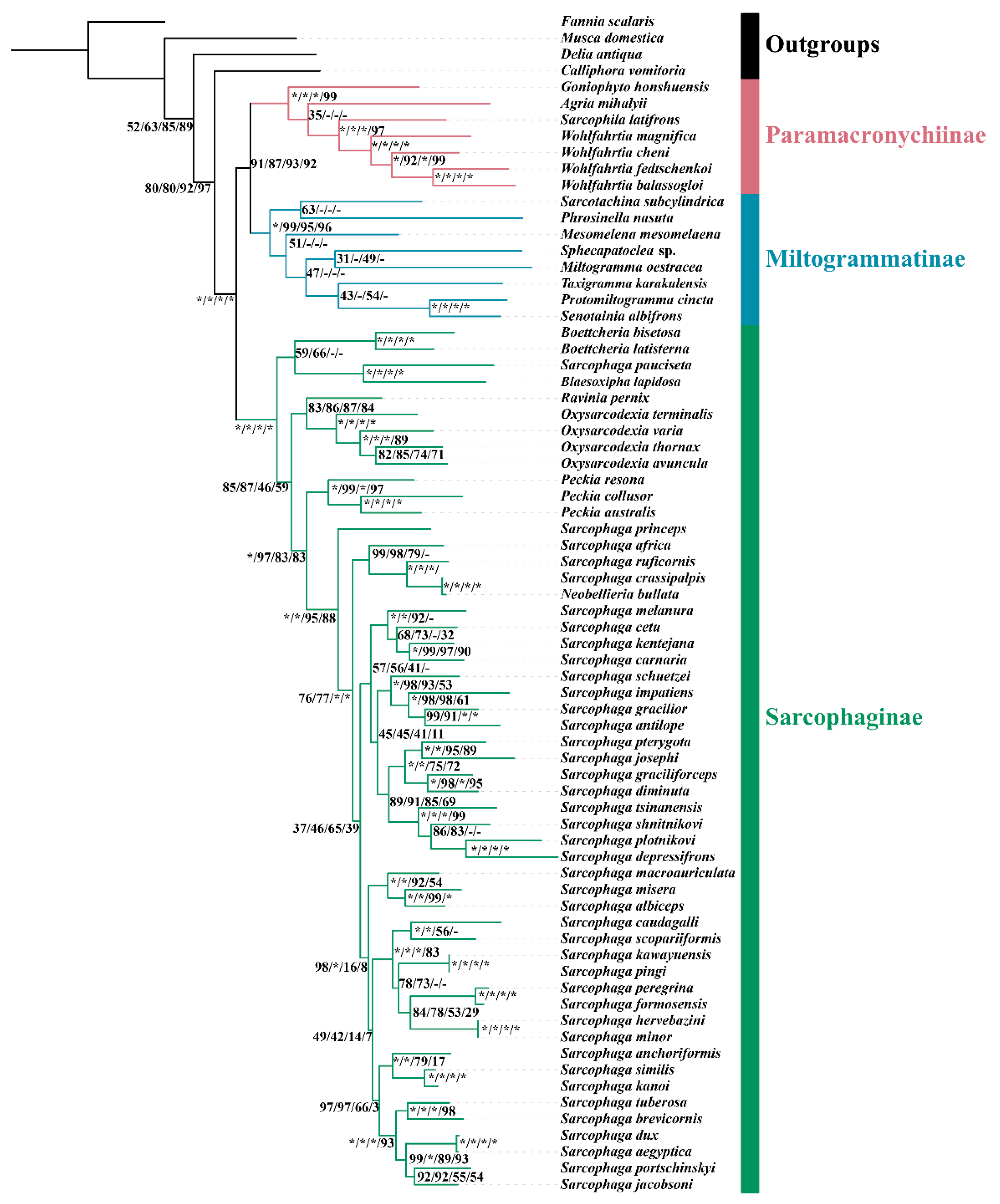 Insects 13 00718 g005