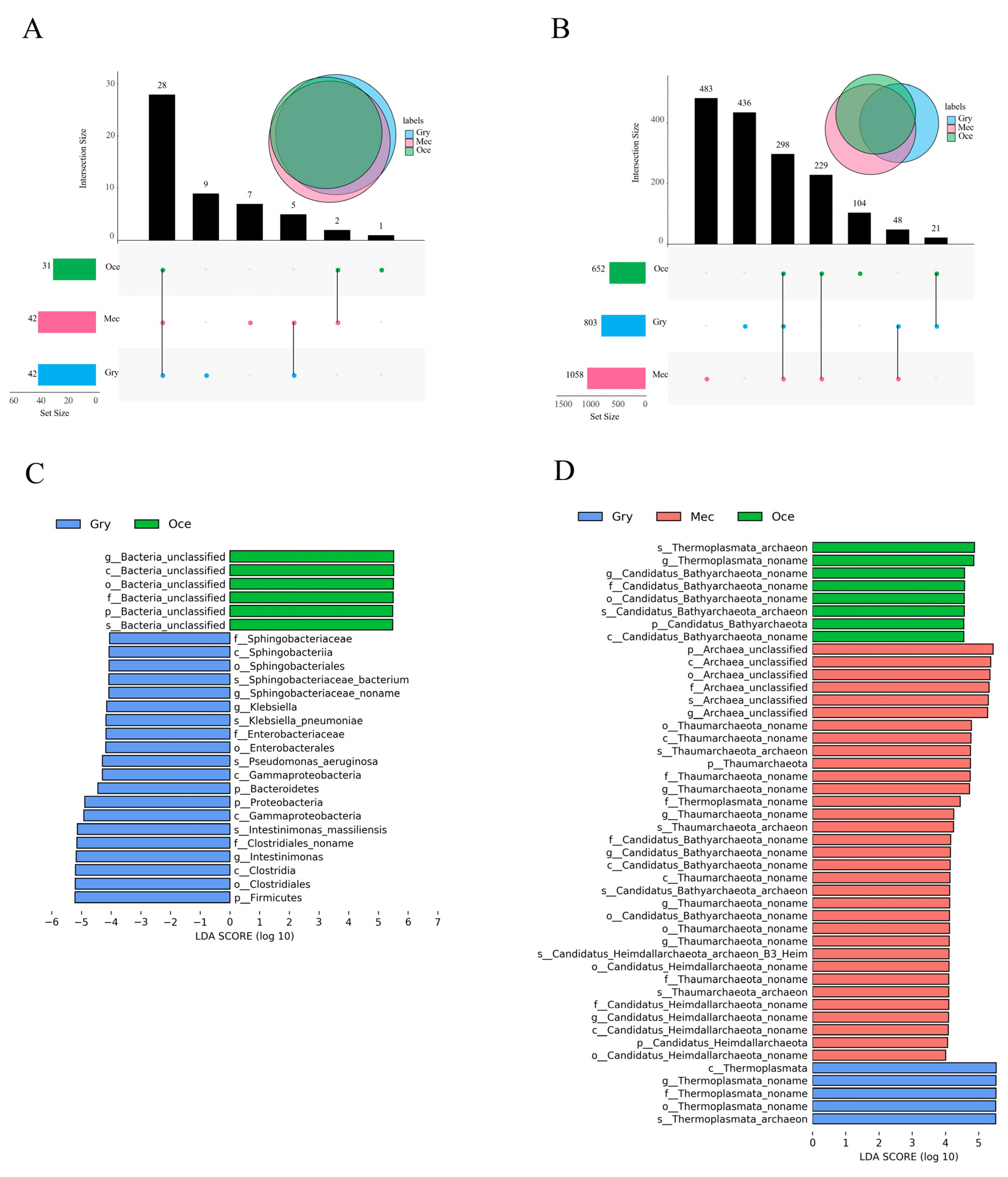 Insects 13 00719 g003