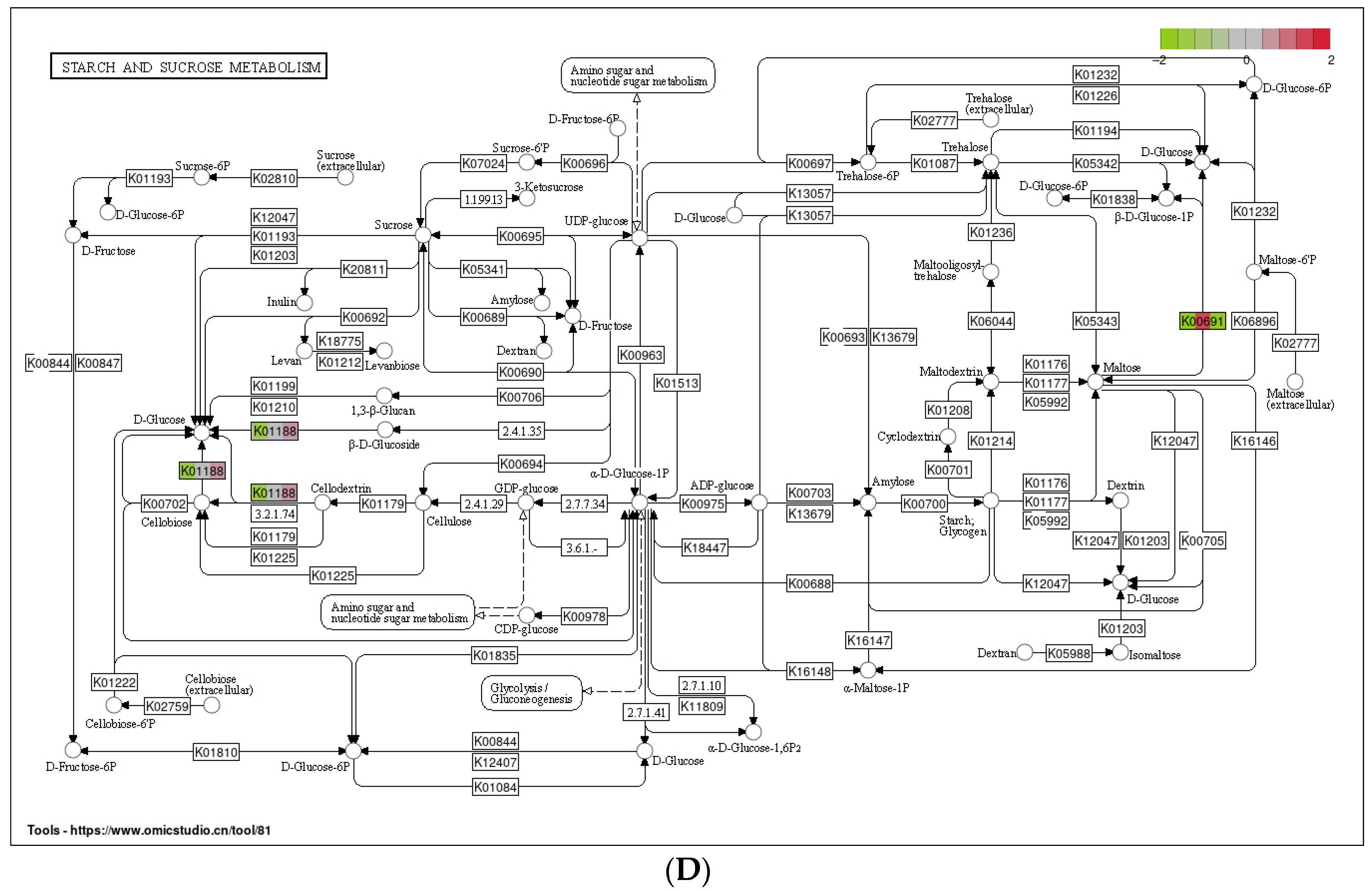 Insects 13 00719 g004c