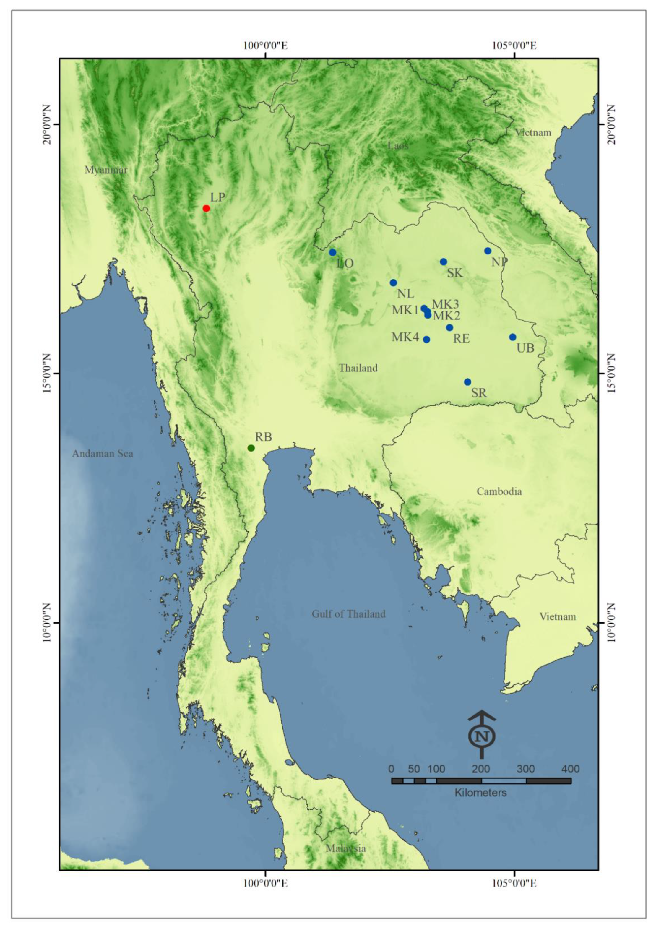 Insects 13 00724 g001