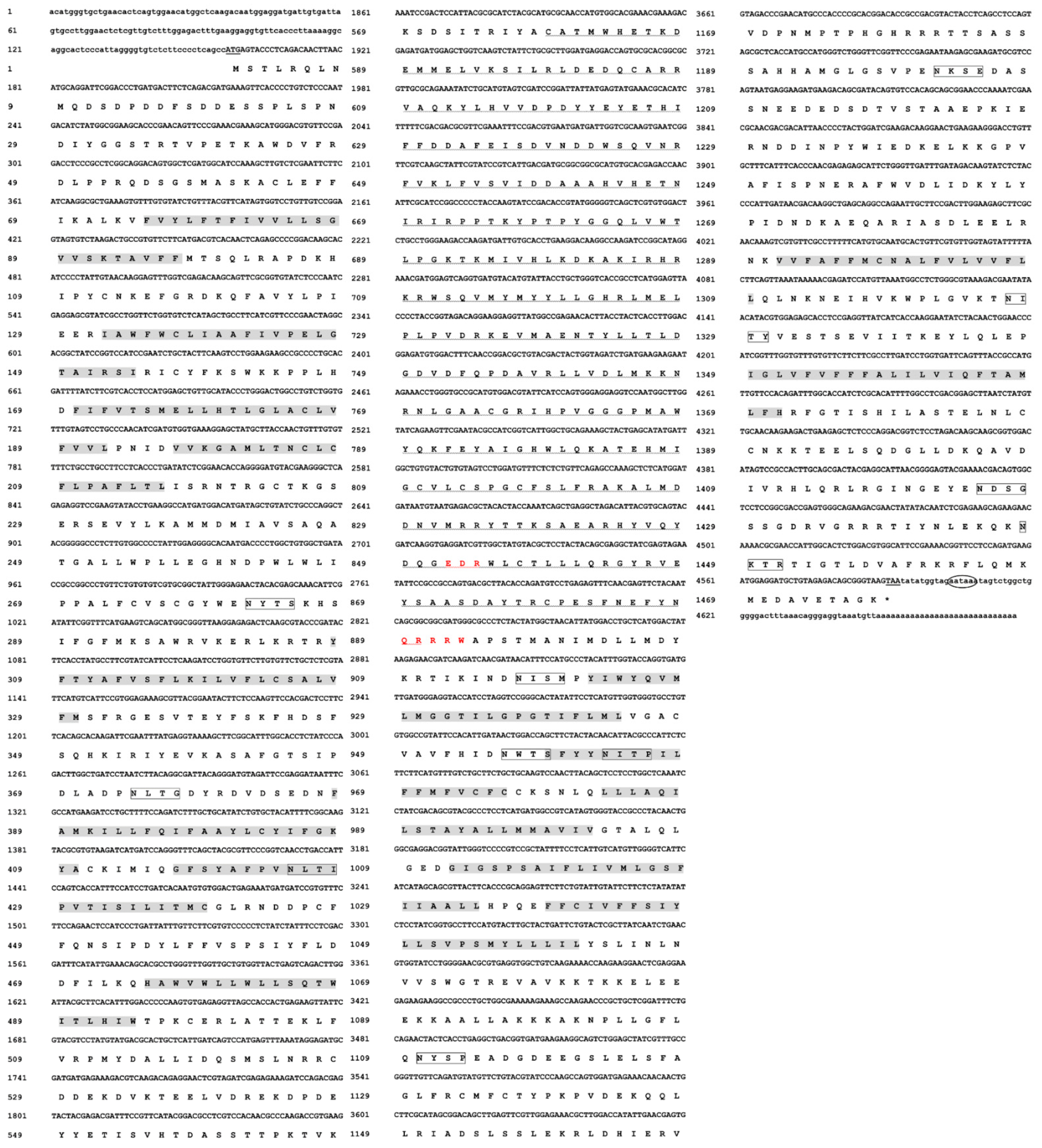 Insects 13 00728 g001