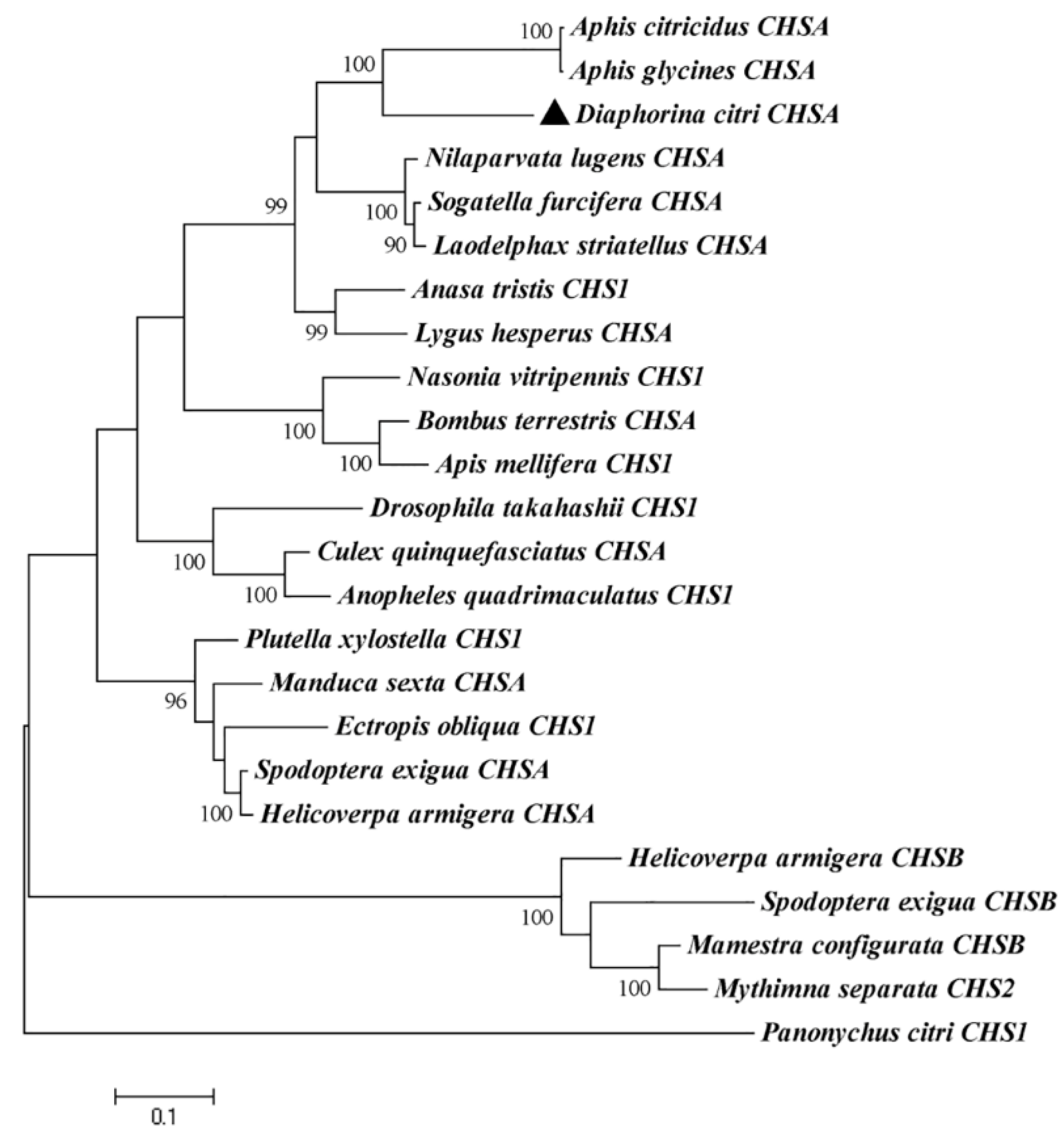 Insects 13 00728 g002