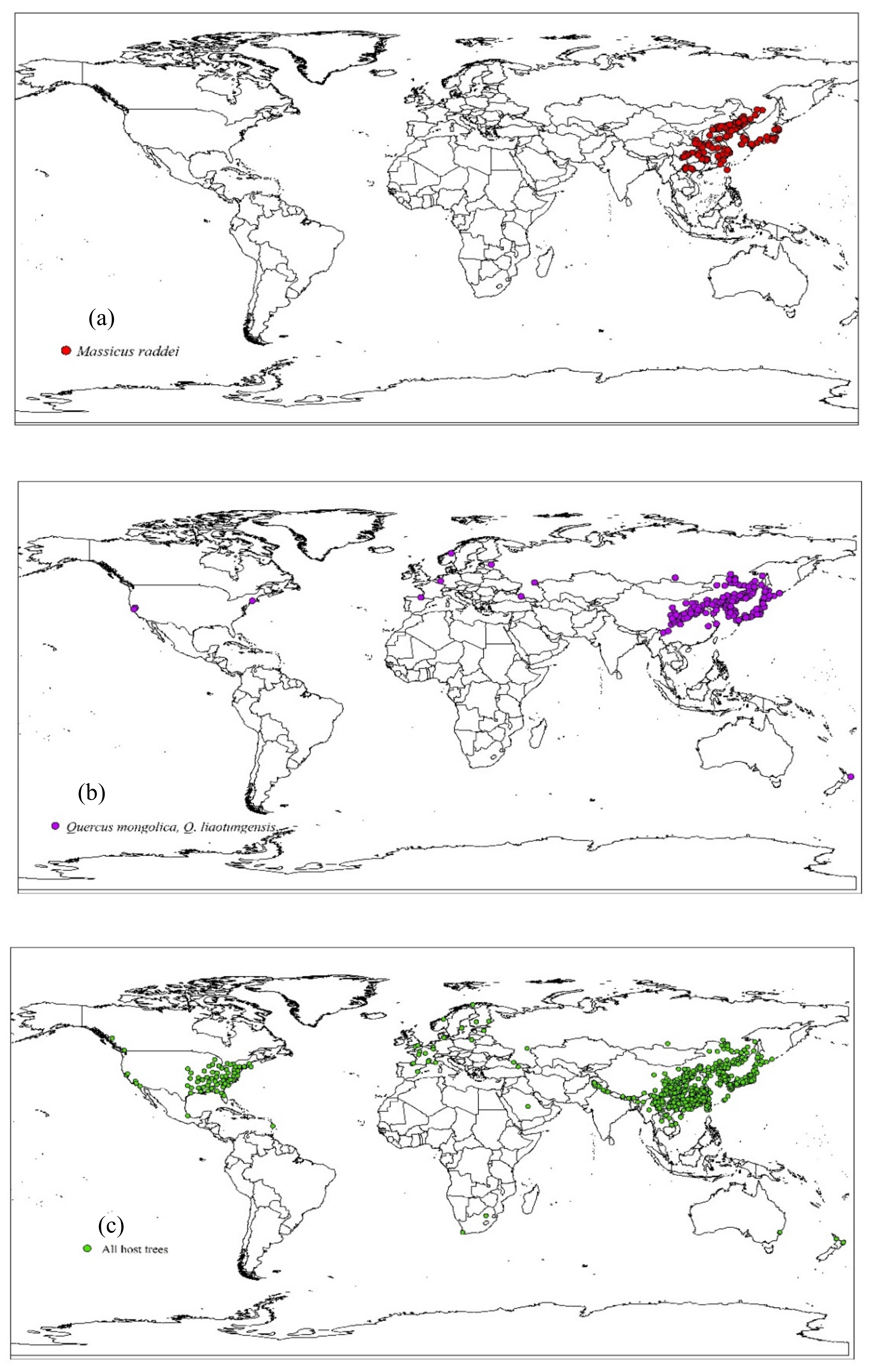 Insects 13 00730 g001