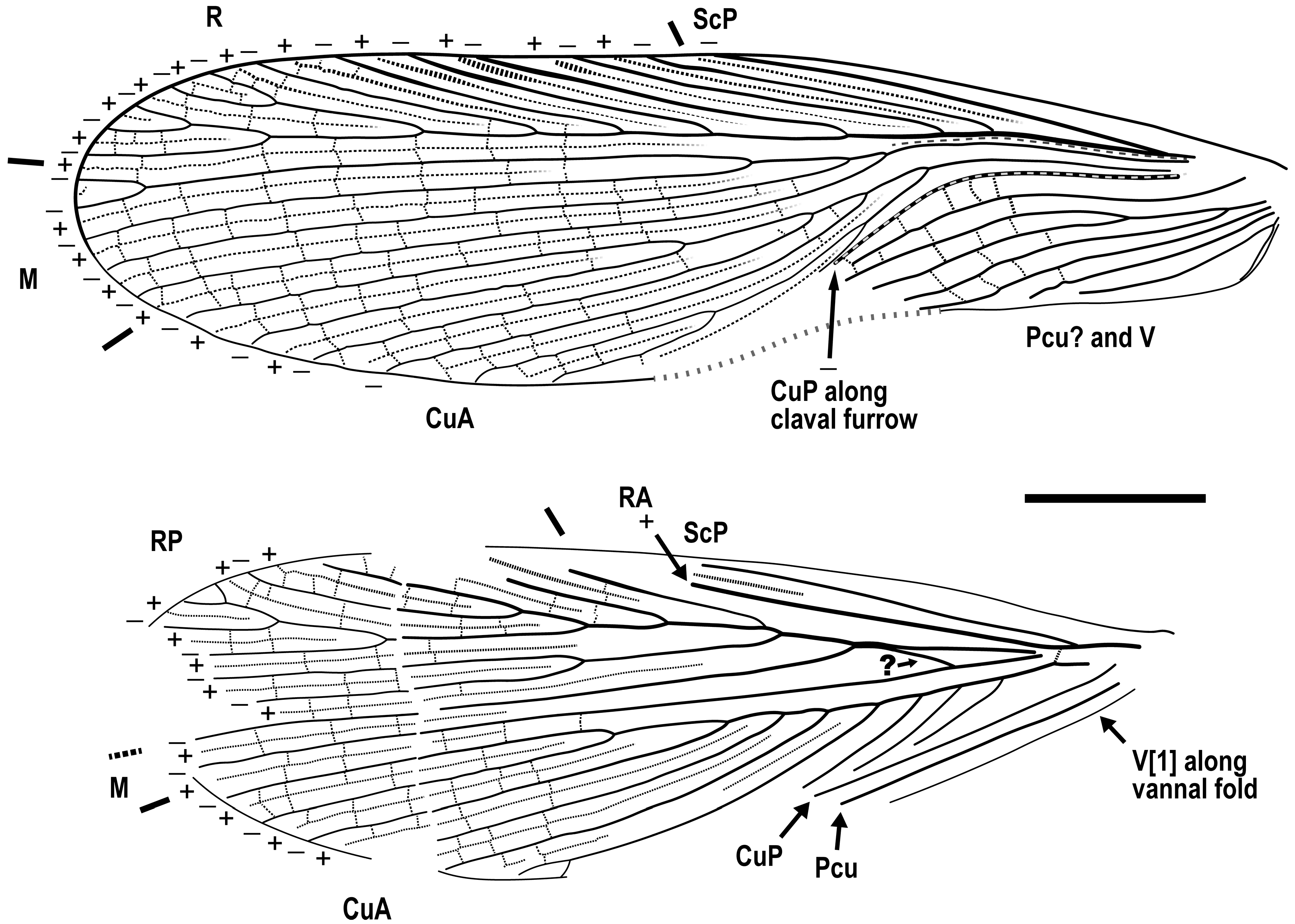 Insects 13 00732 g003