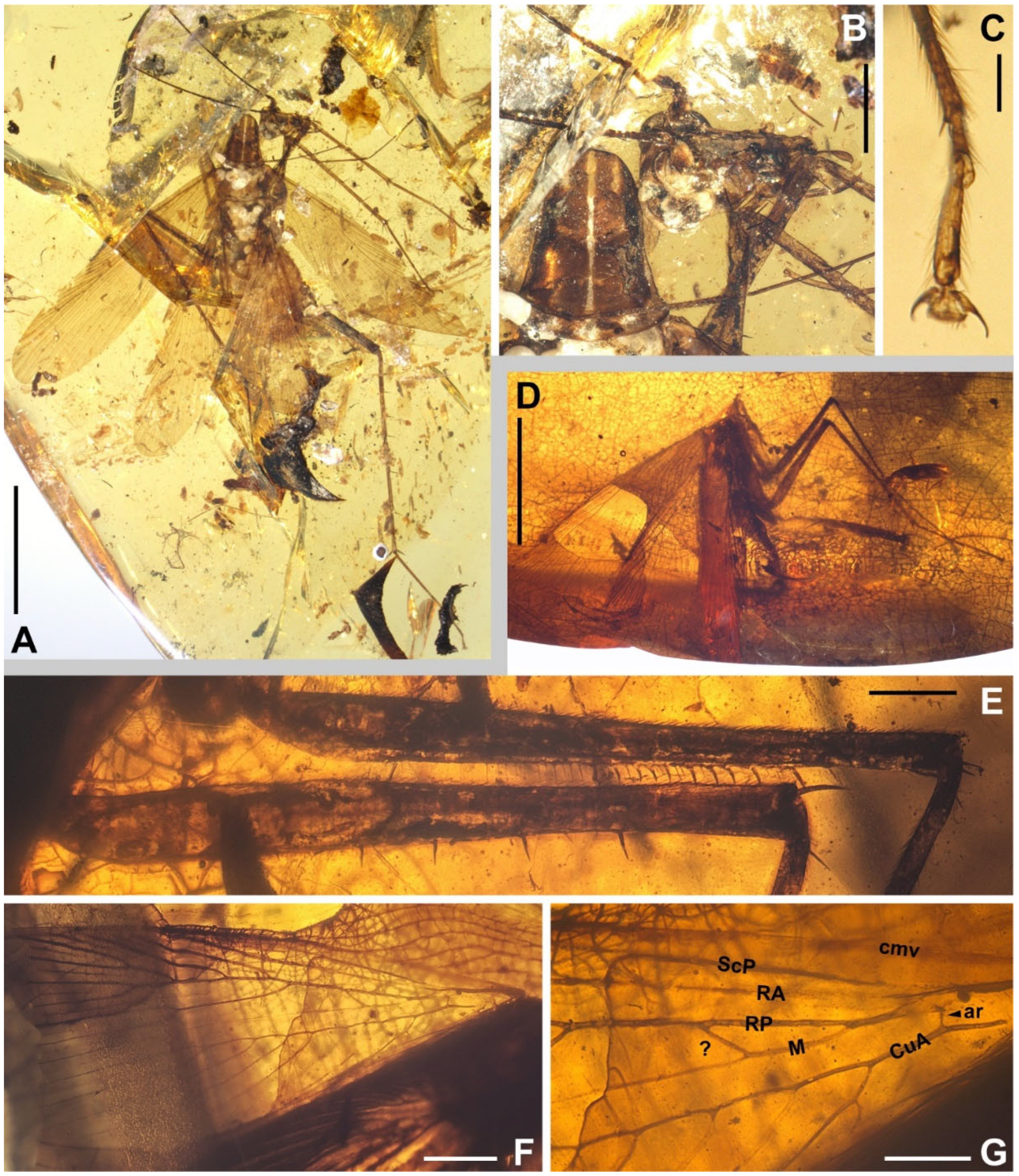 Insects 13 00732 g005