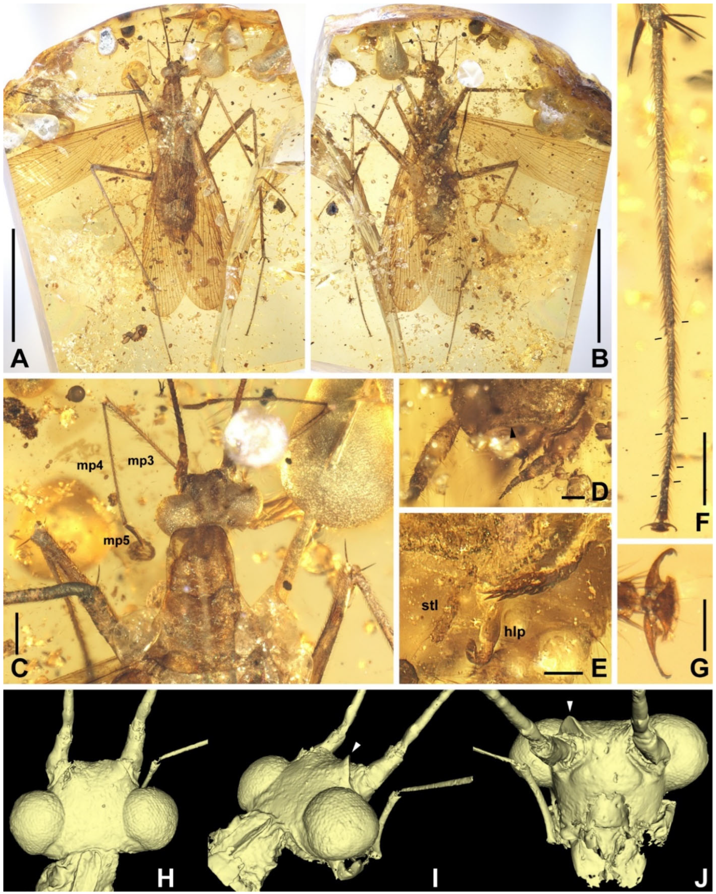 Insects 13 00732 g006