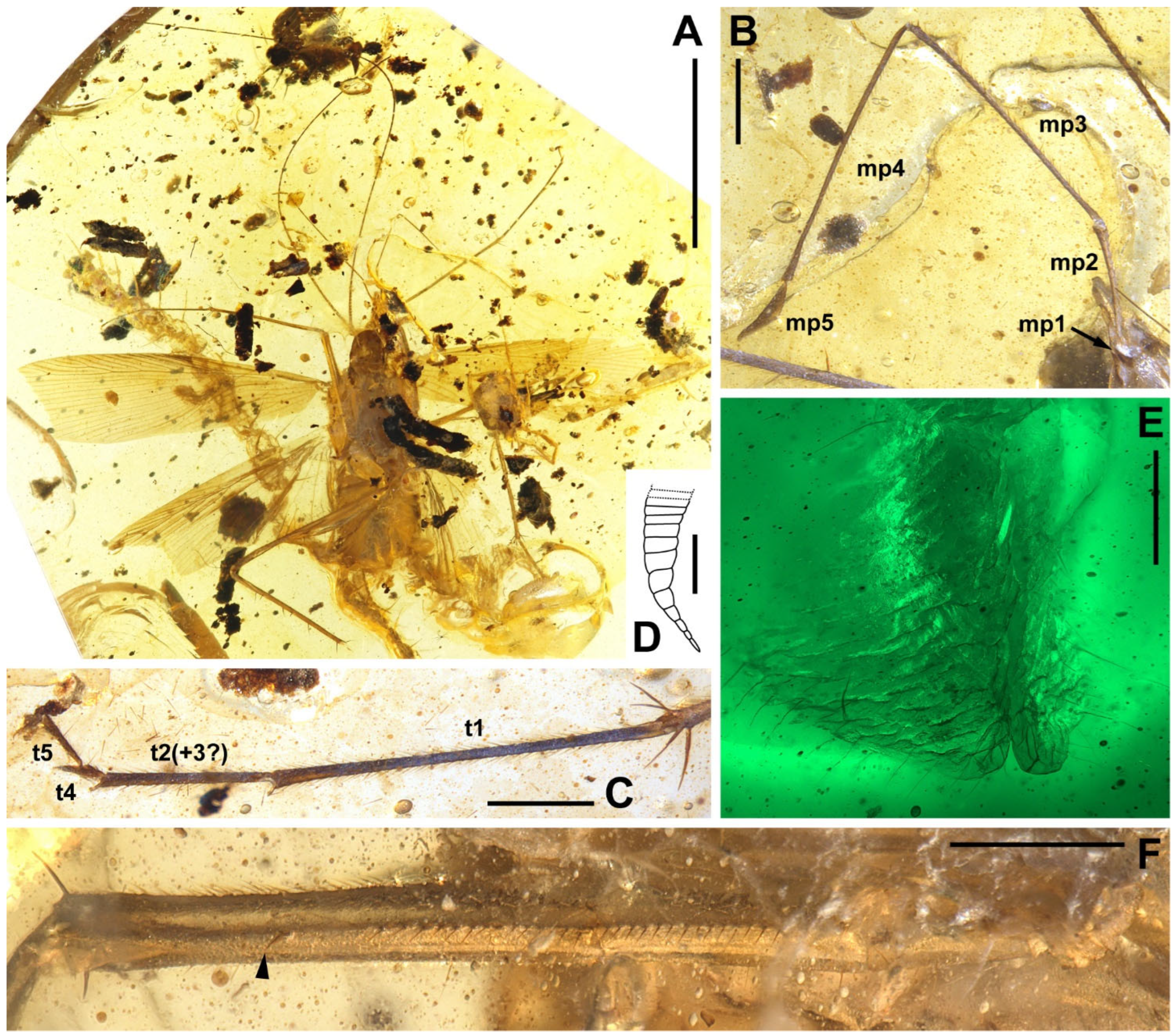 Insects 13 00732 g007