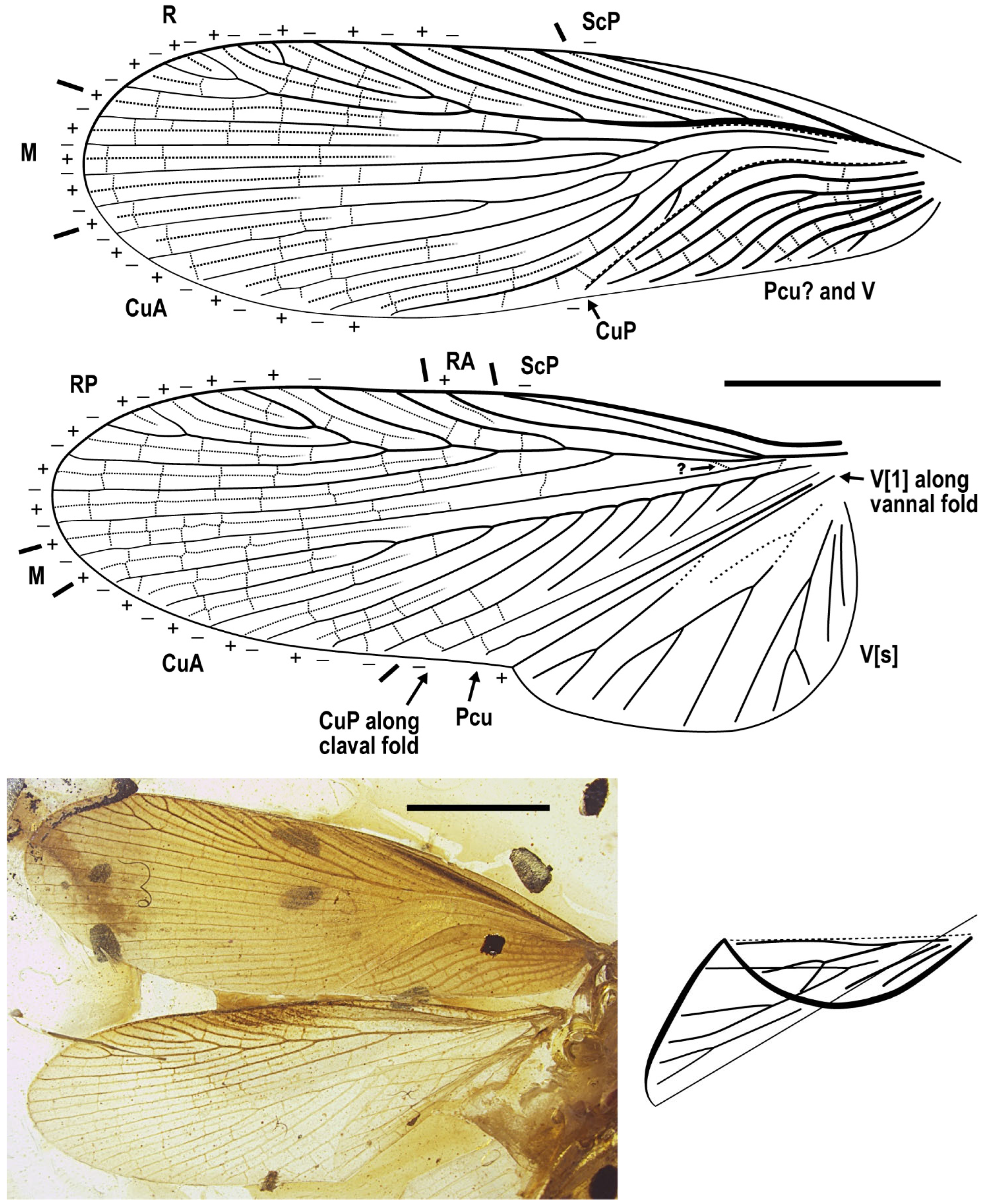 Insects 13 00732 g009