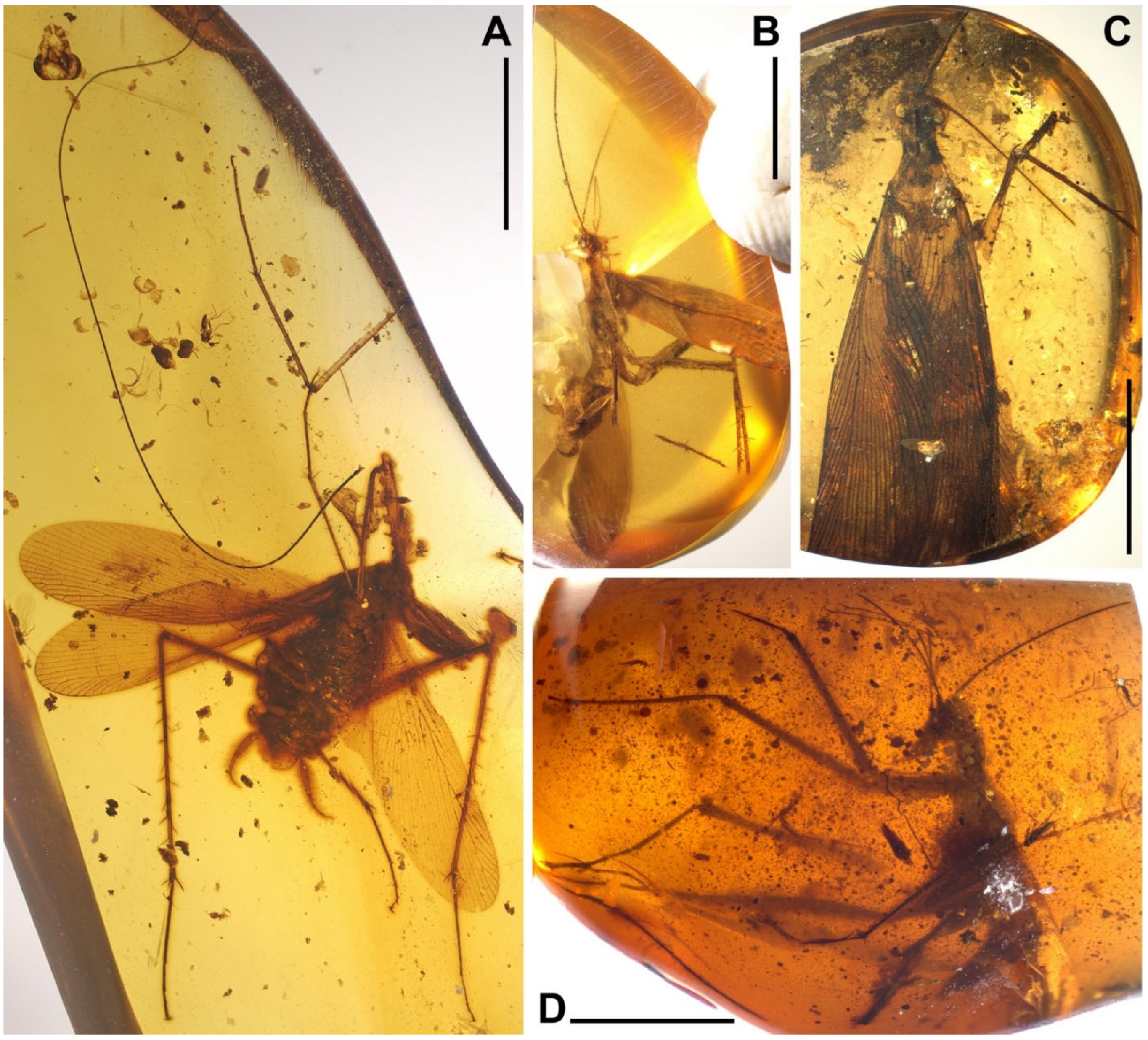 Insects 13 00732 g011