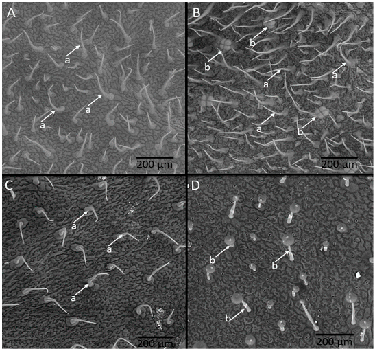 Insects 13 00738 g003