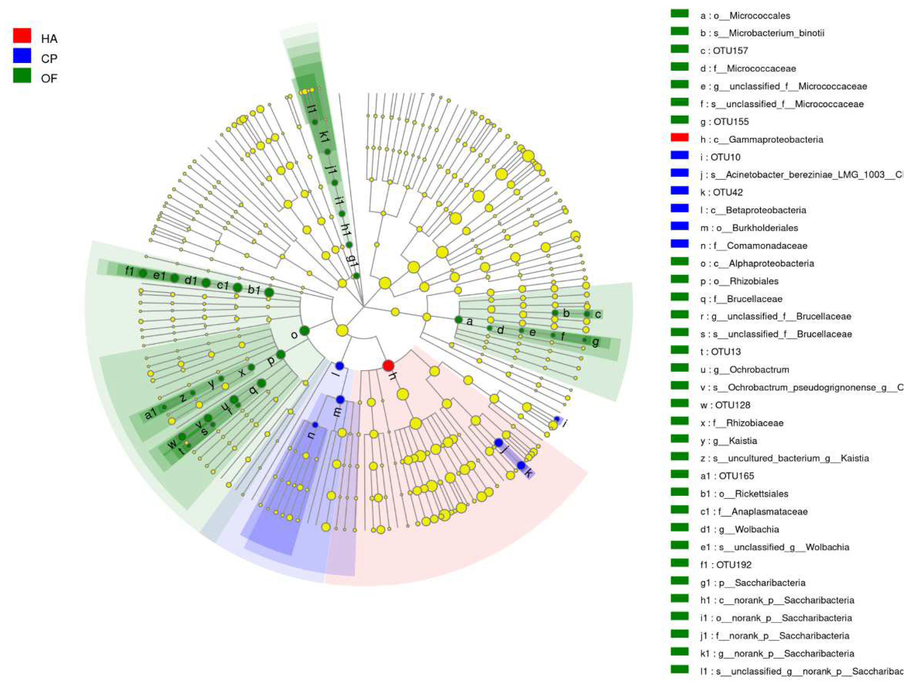 Insects 13 00740 g003