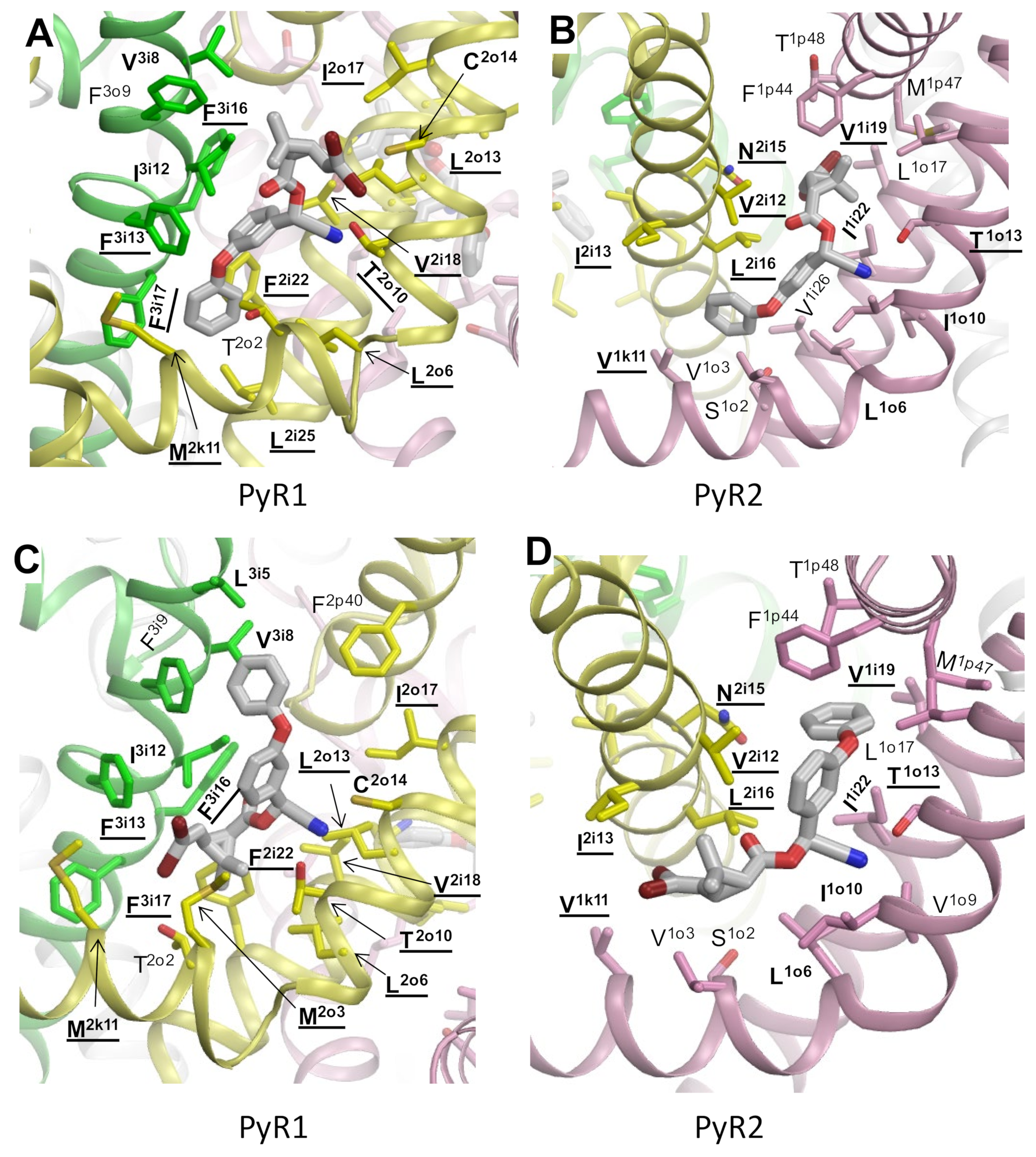 Insects 13 00745 g002