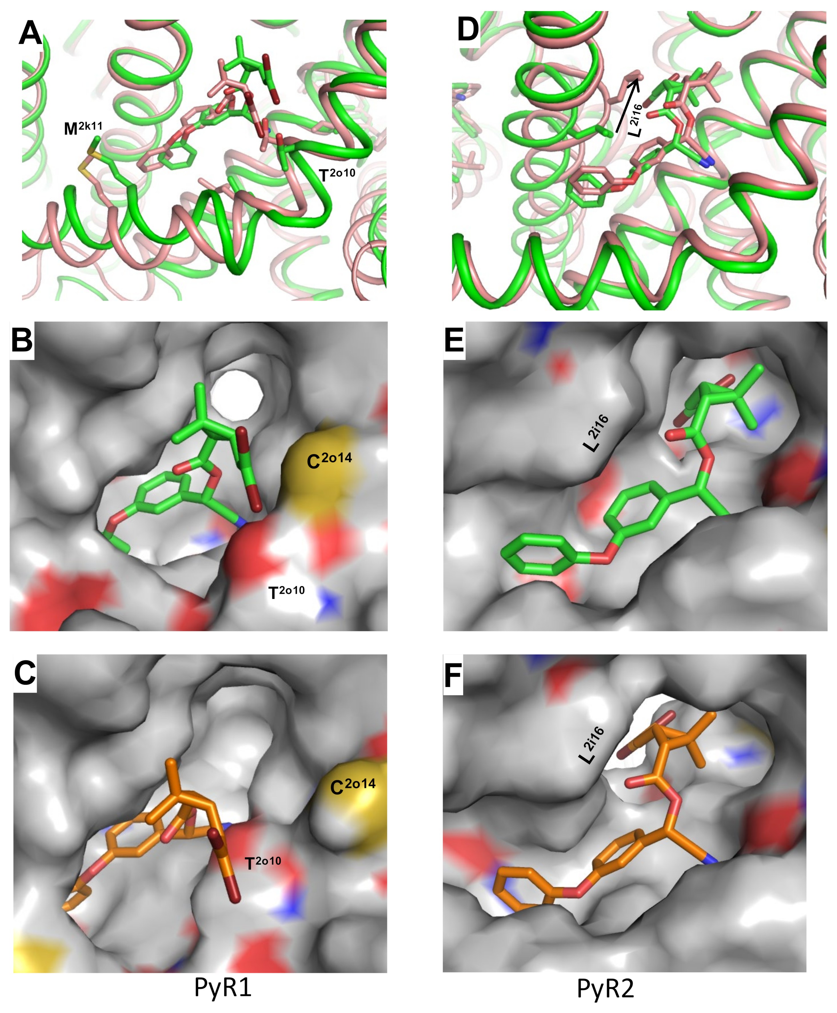 Insects 13 00745 g003
