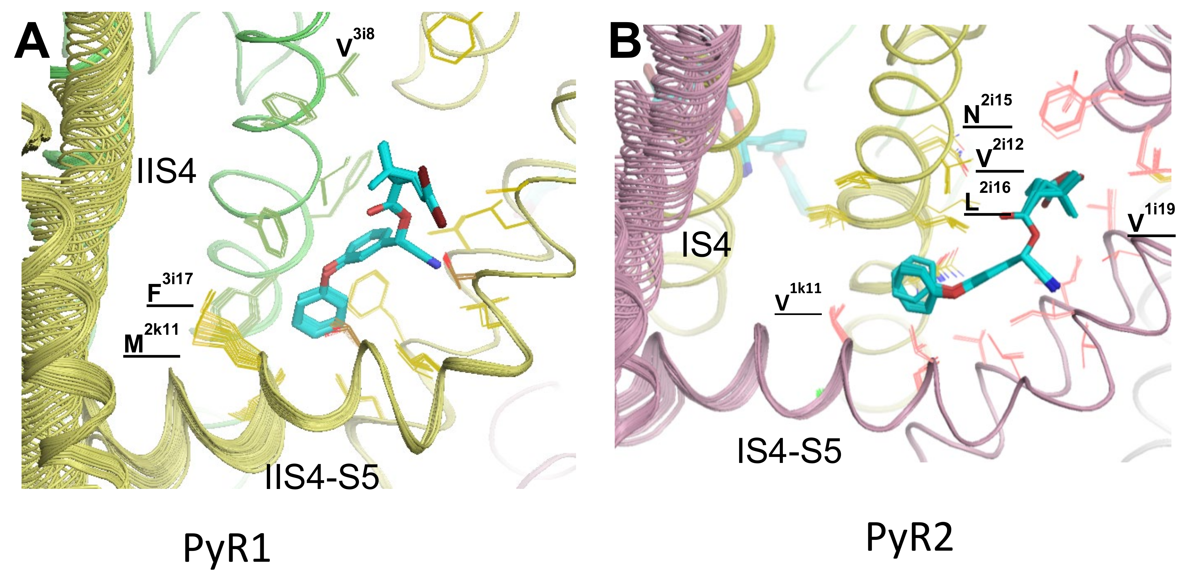 Insects 13 00745 g004