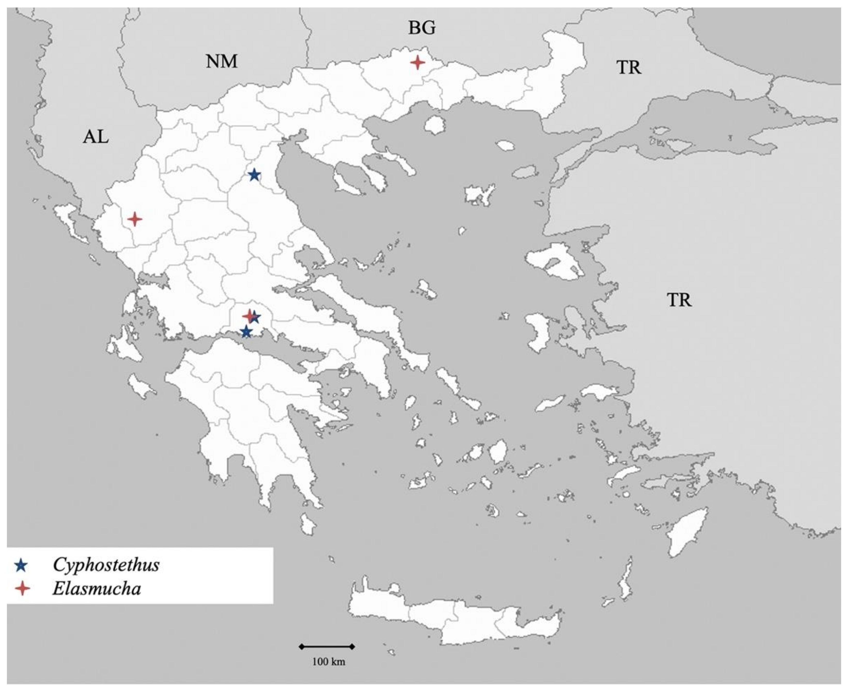 Insects 13 00749 g001