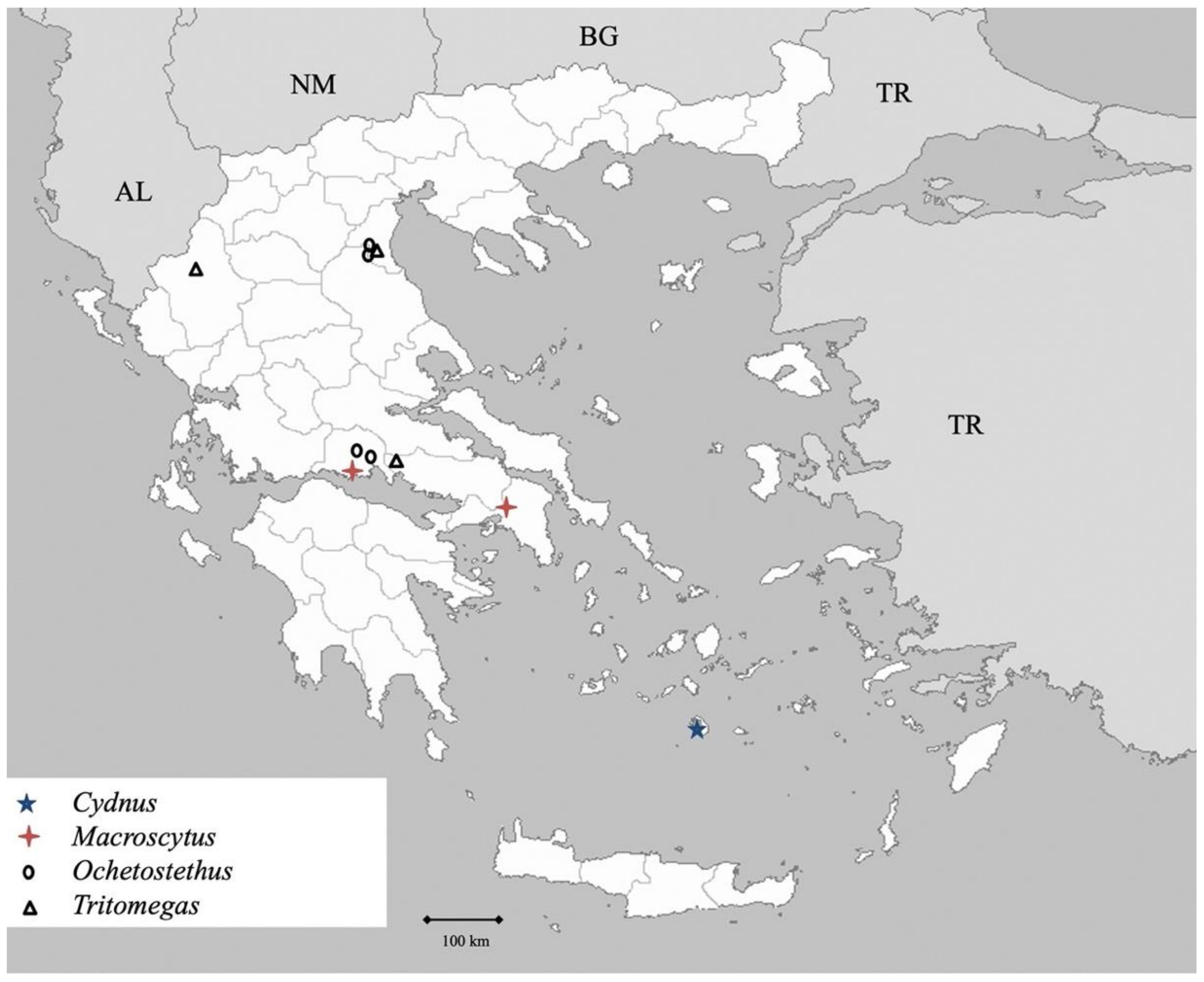 Insects 13 00749 g002