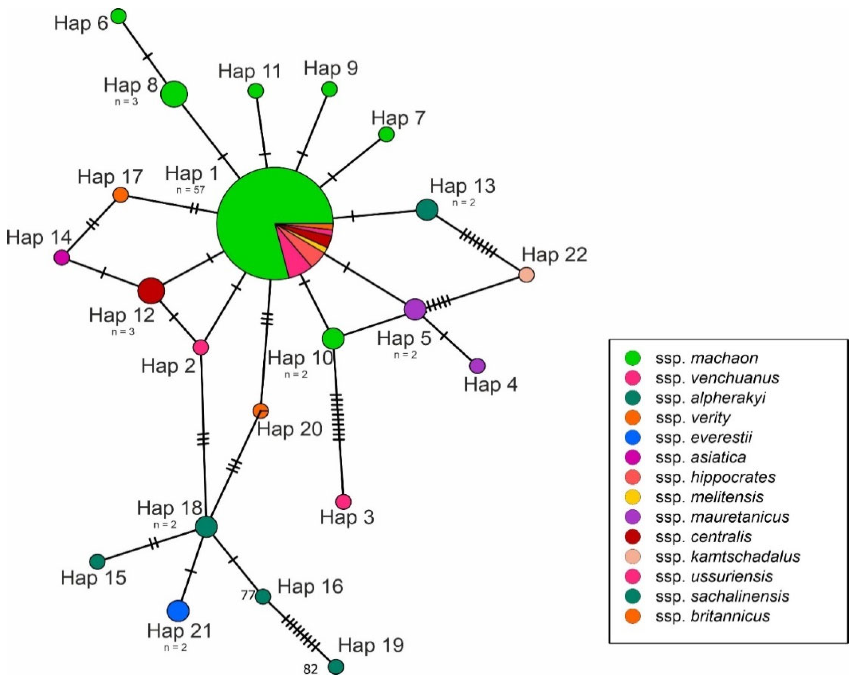 Insects 13 00752 g002