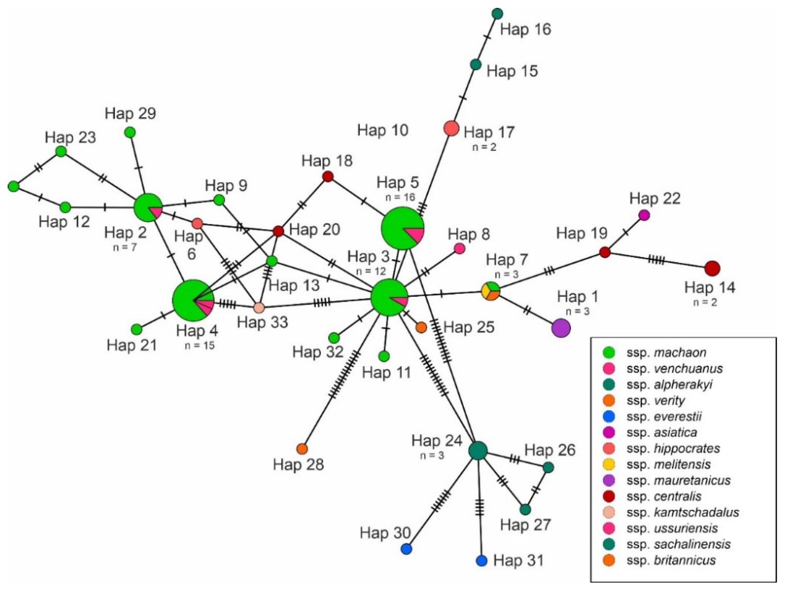Insects 13 00752 g003