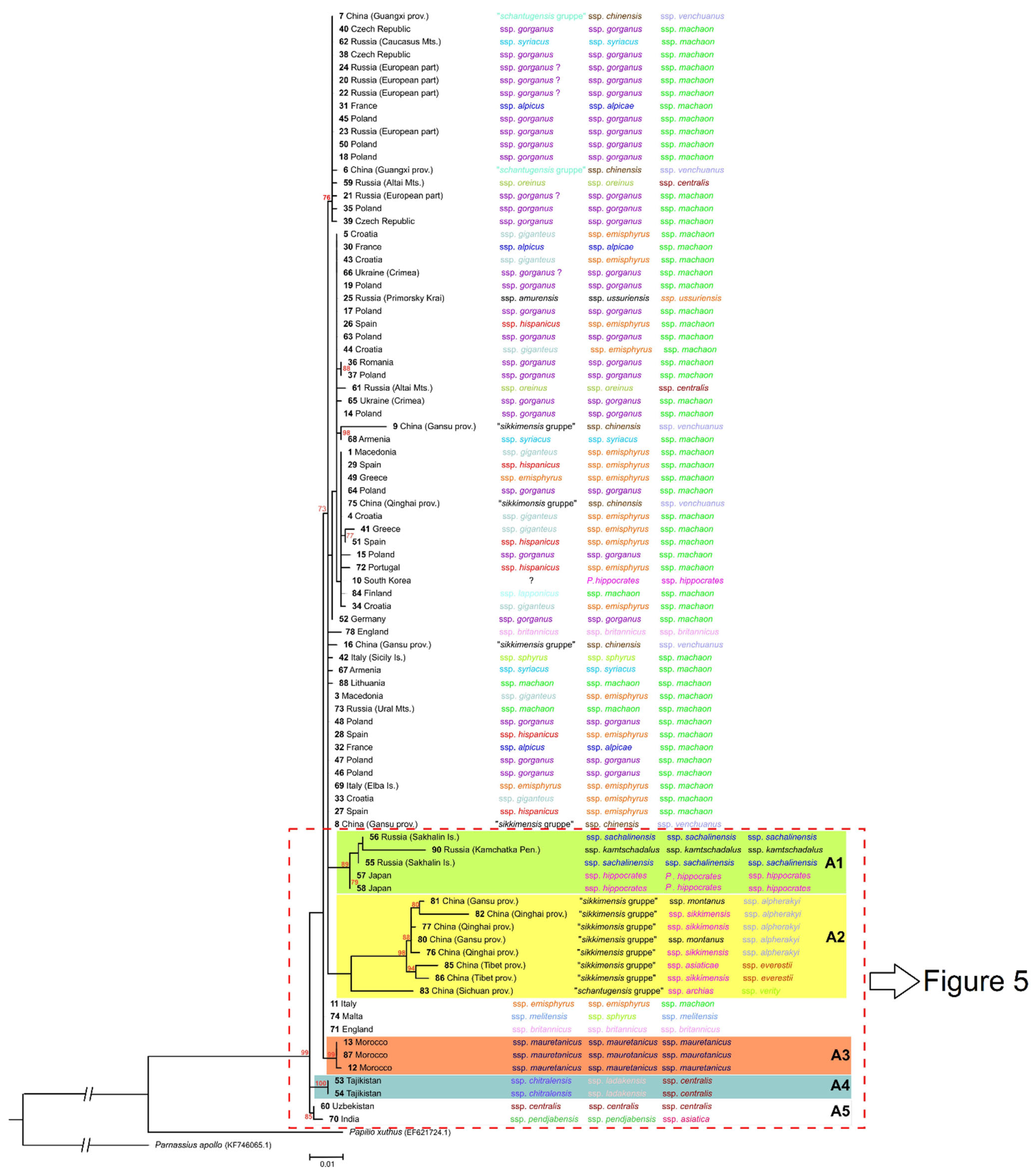 Insects 13 00752 g004