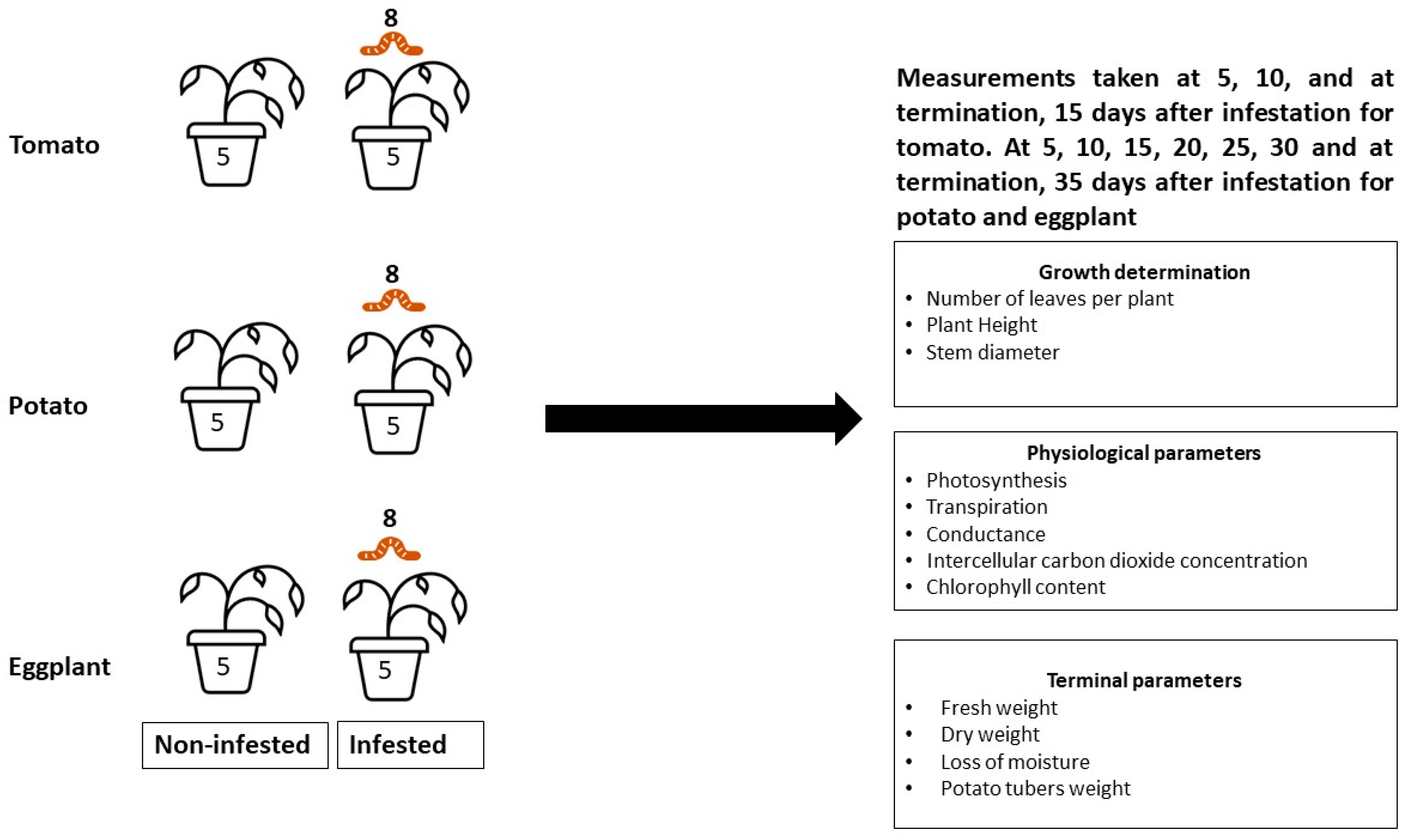 Insects 13 00754 g001
