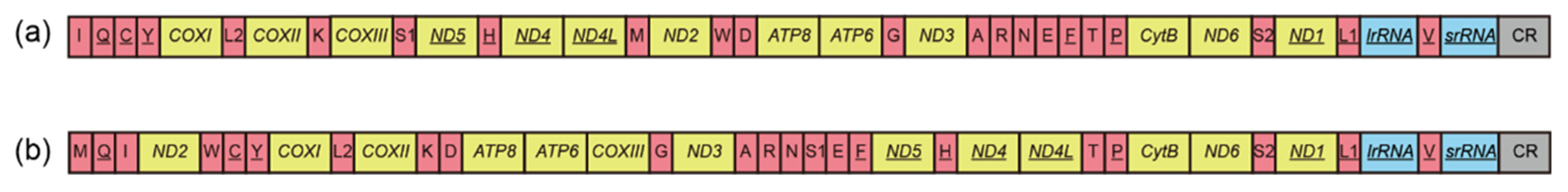 Insects 13 00759 g004