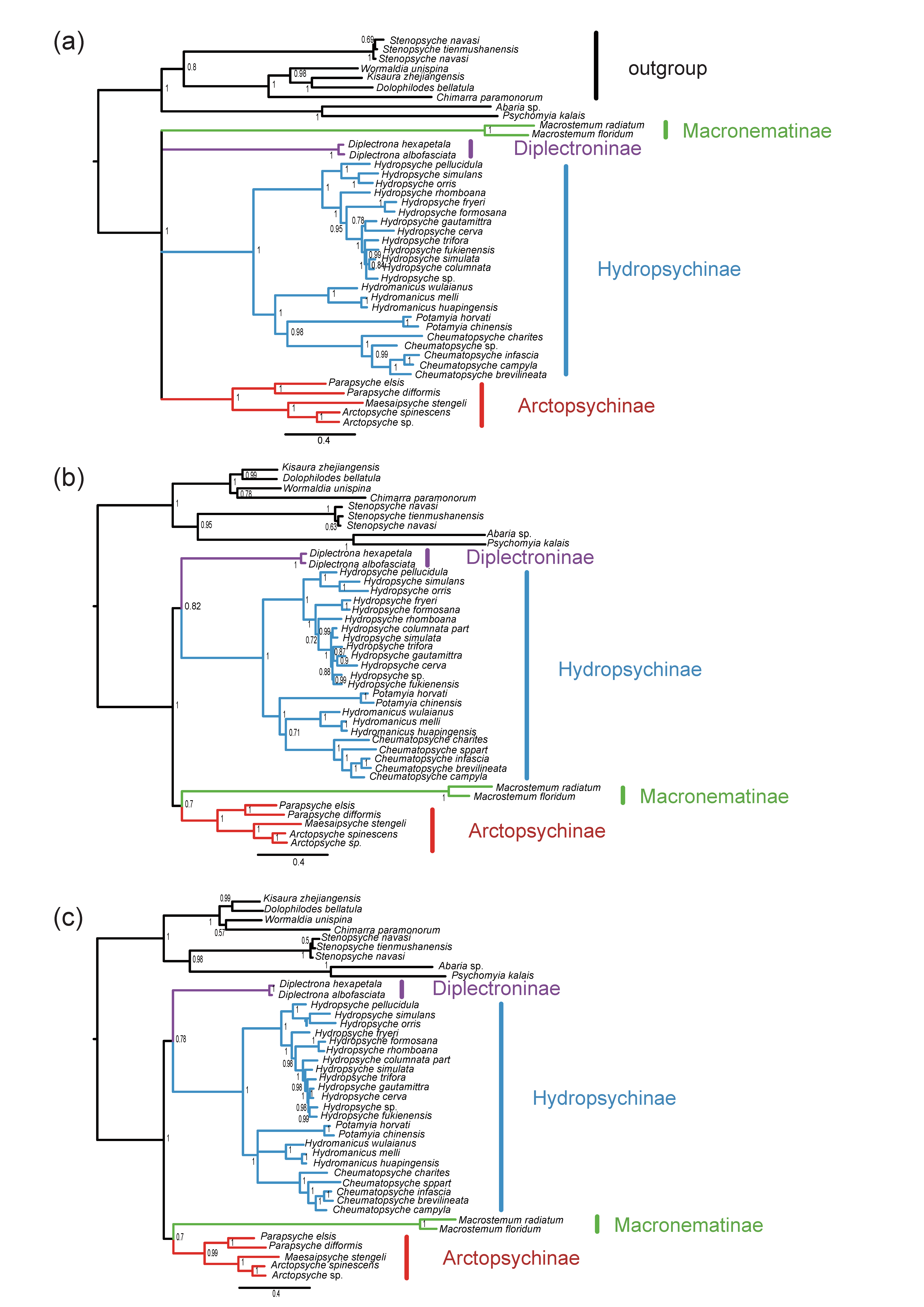 Insects 13 00759 g005