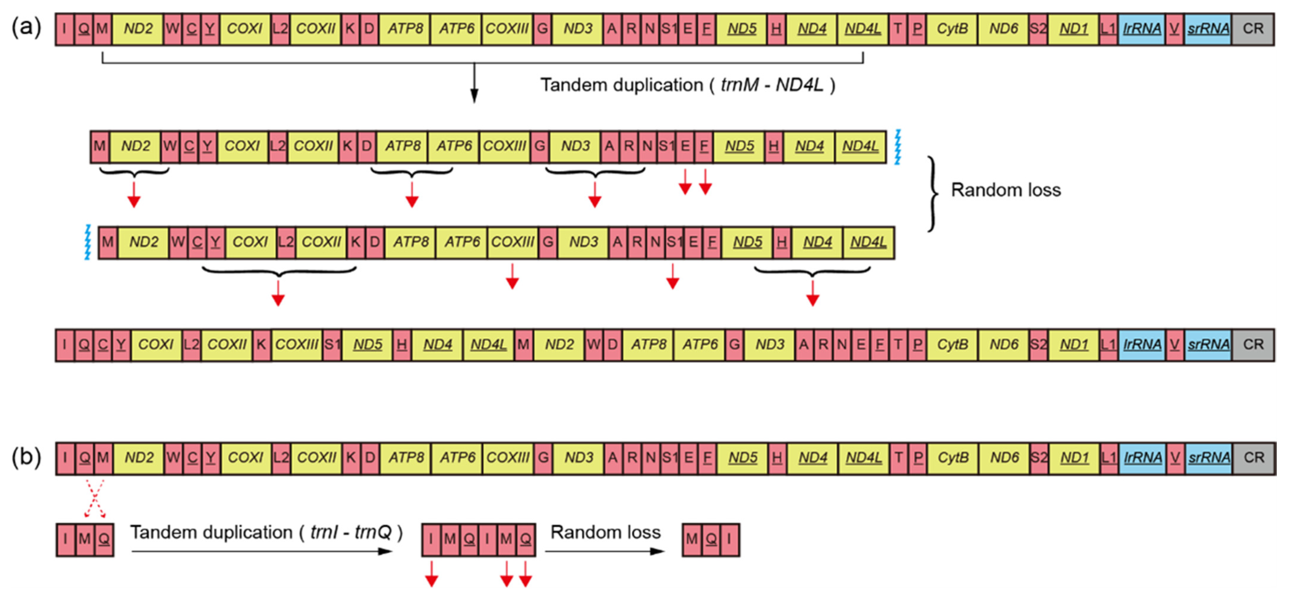 Insects 13 00759 g006
