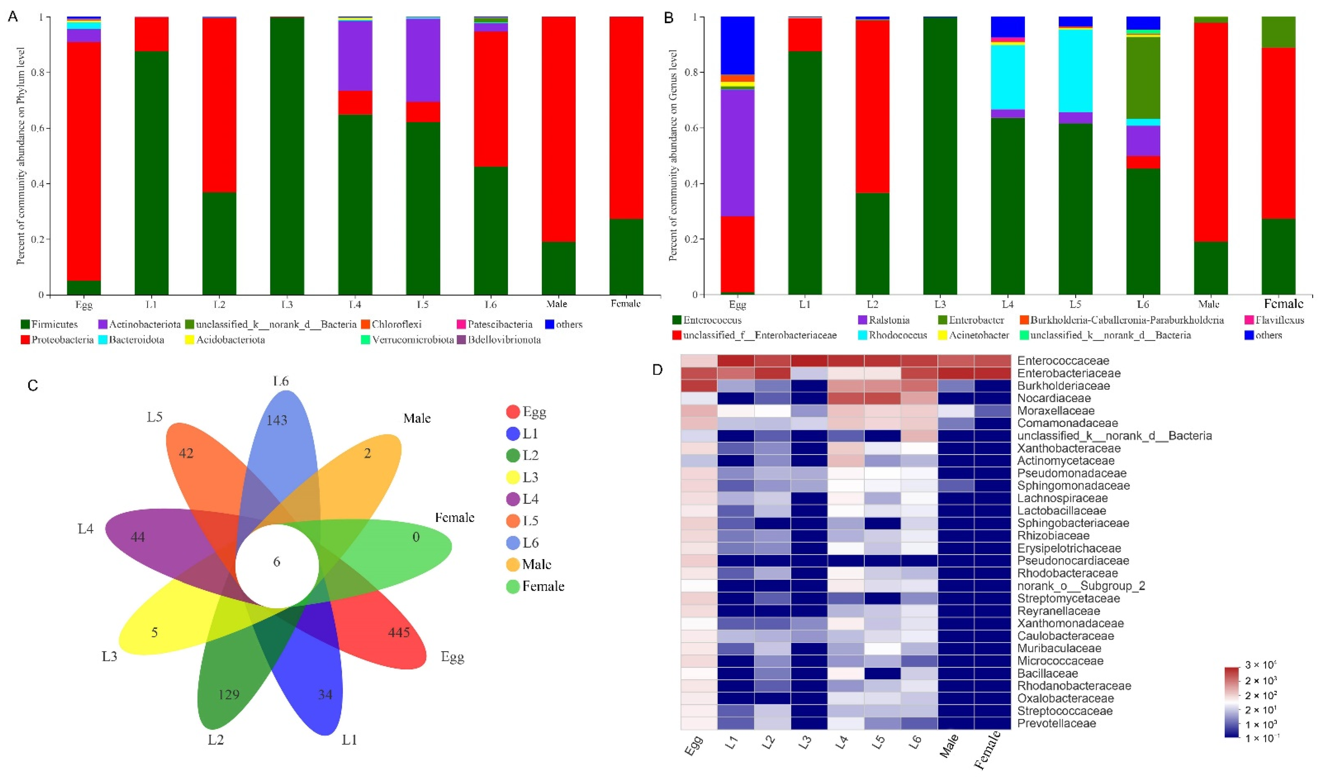 Insects 13 00762 g001