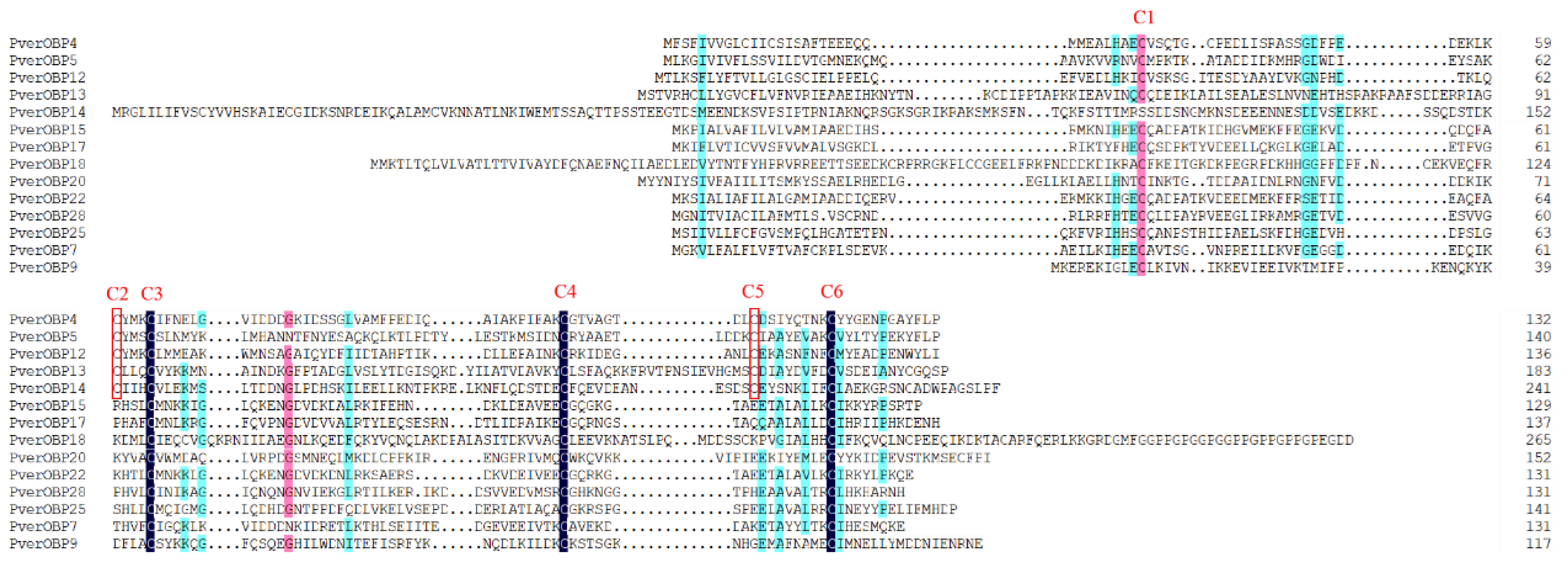 Insects 13 00763 g002