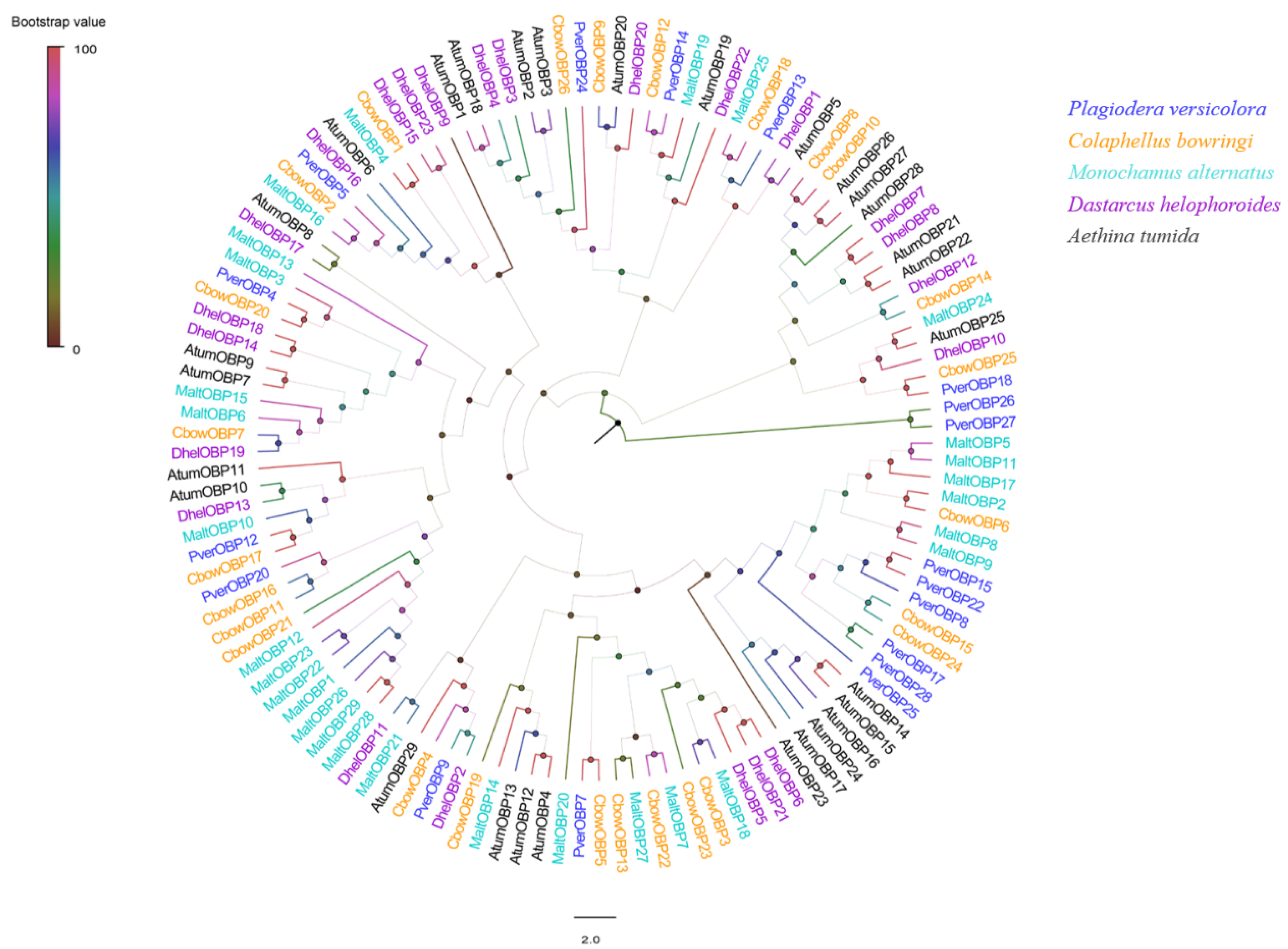 Insects 13 00763 g003