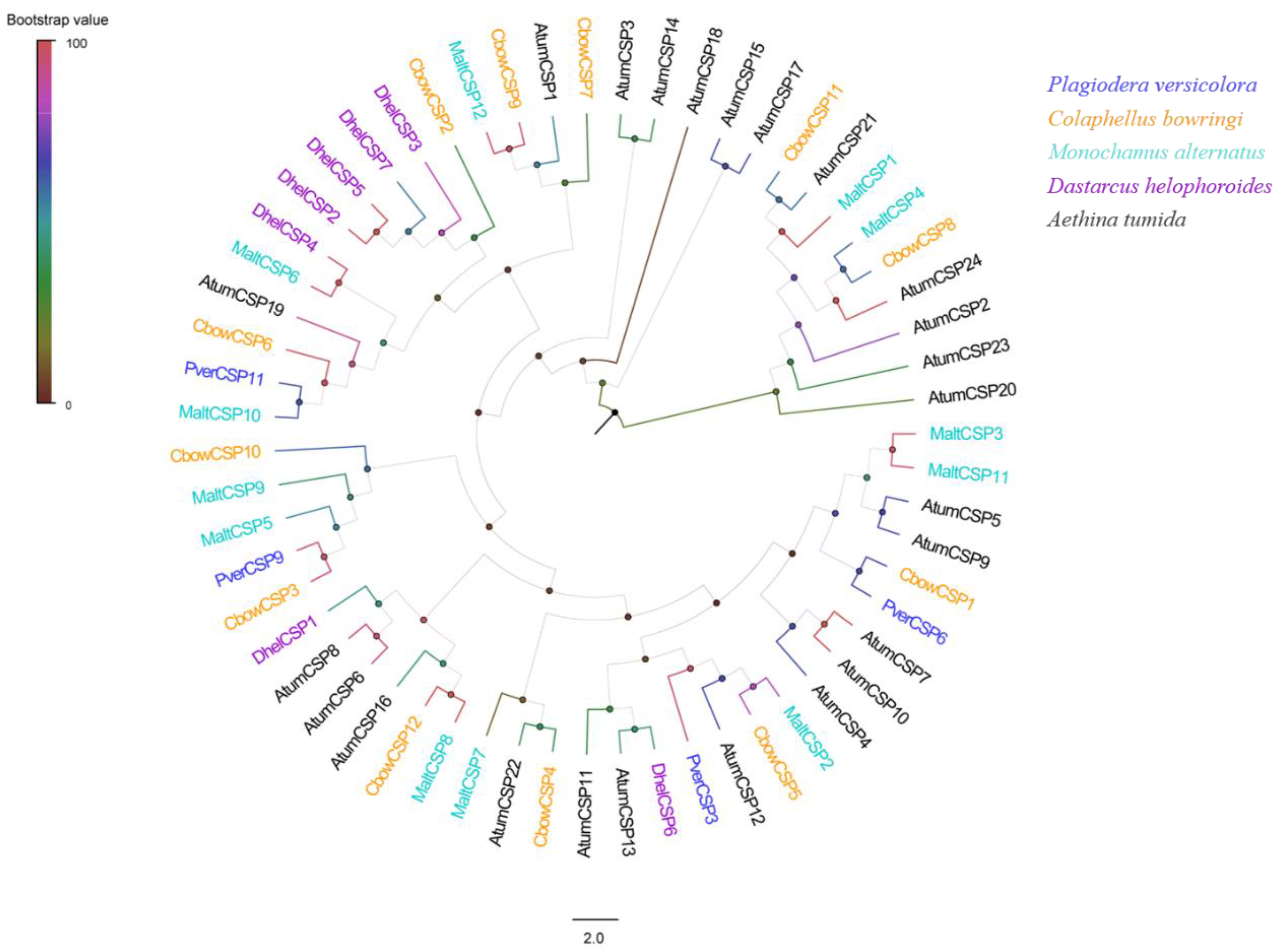 Insects 13 00763 g005