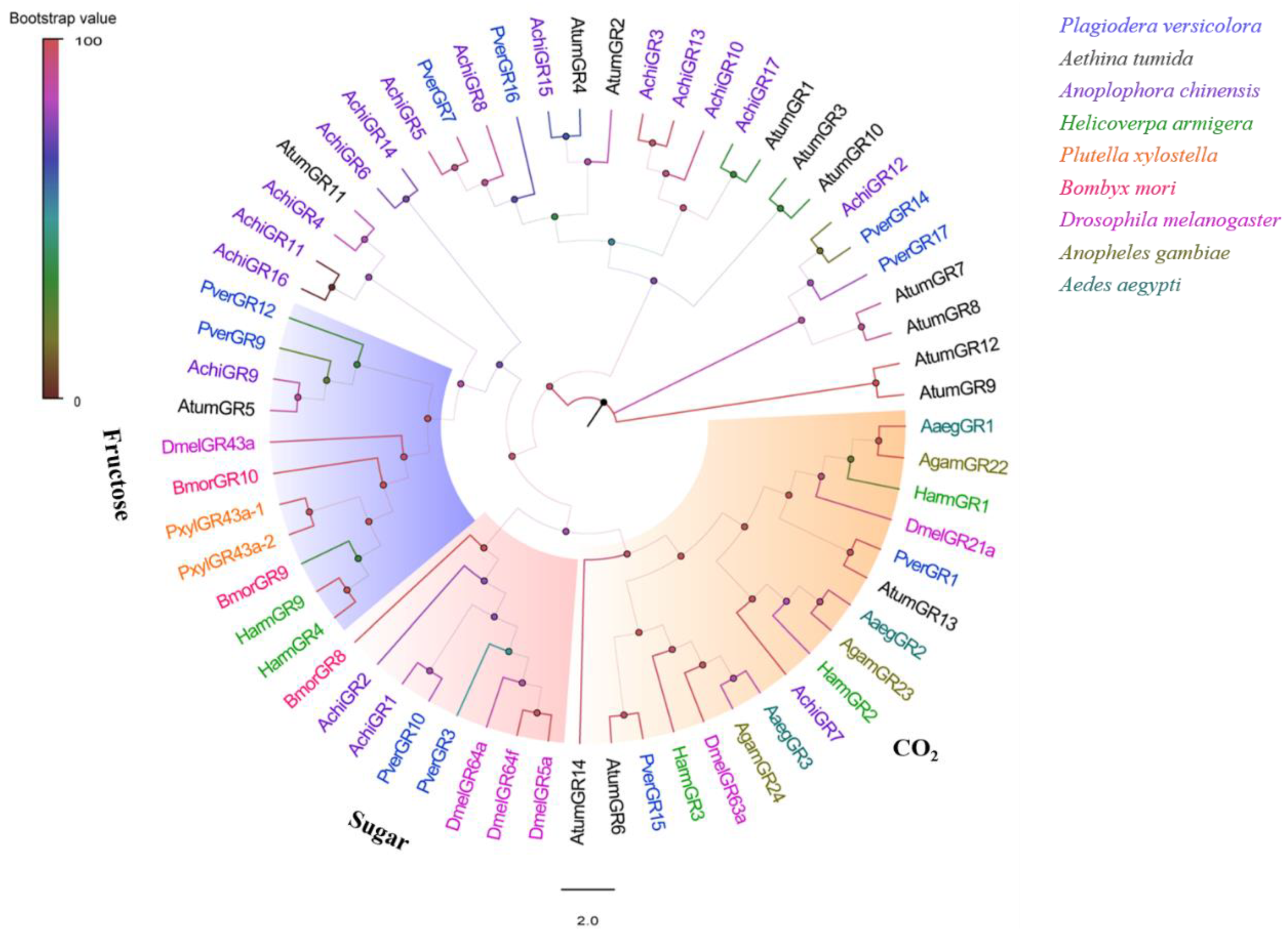 Insects 13 00763 g006